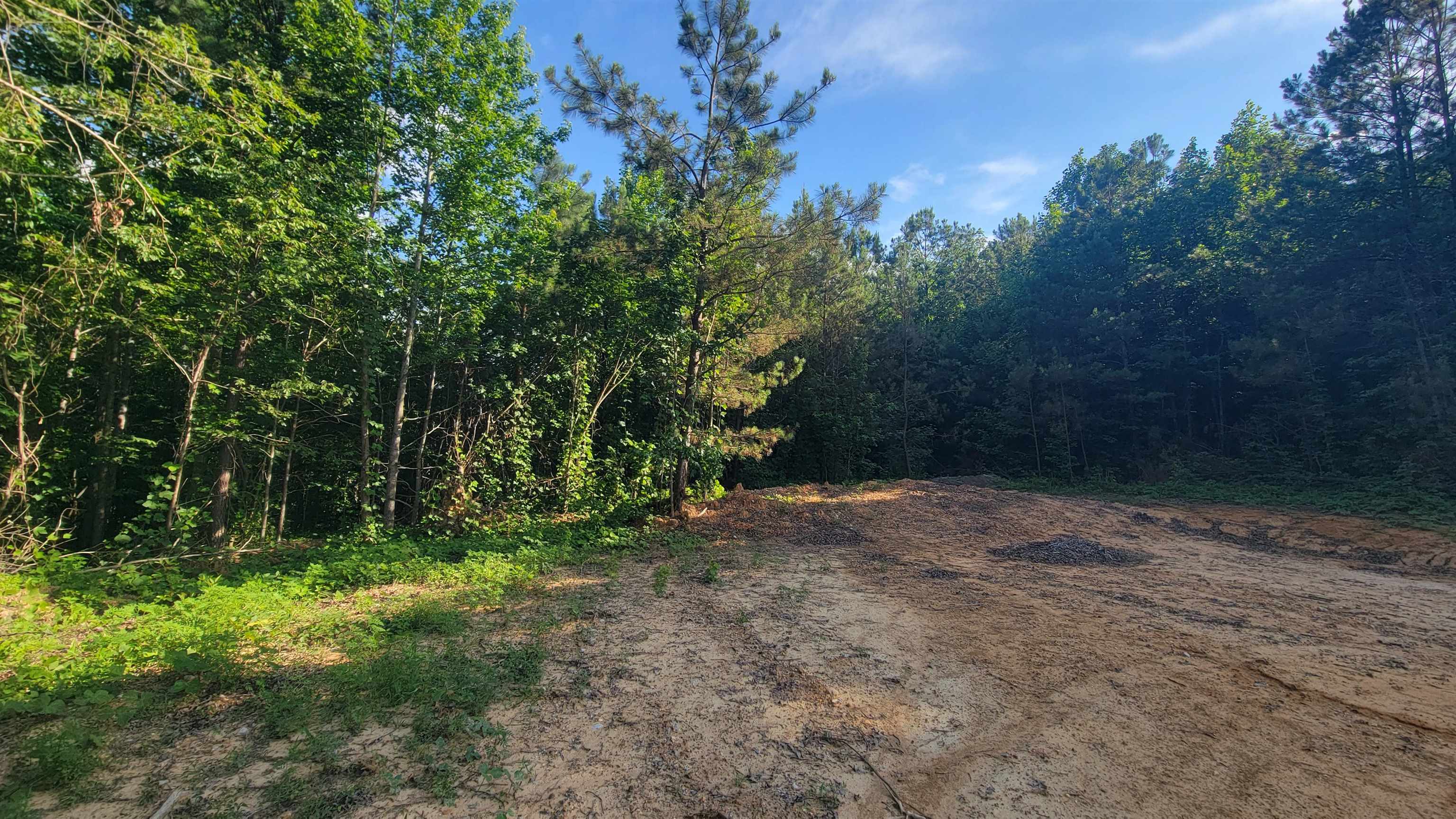 0 W Mt Mills Rd, Tuscumbia, AL 35674 — photo 4