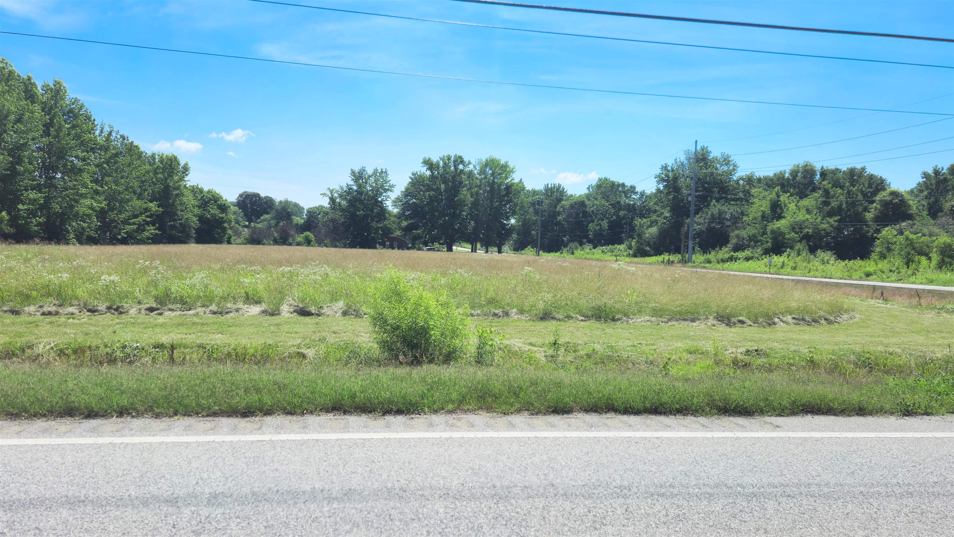 0 Hwy 101, Rogersville, AL 35652 — photo 2