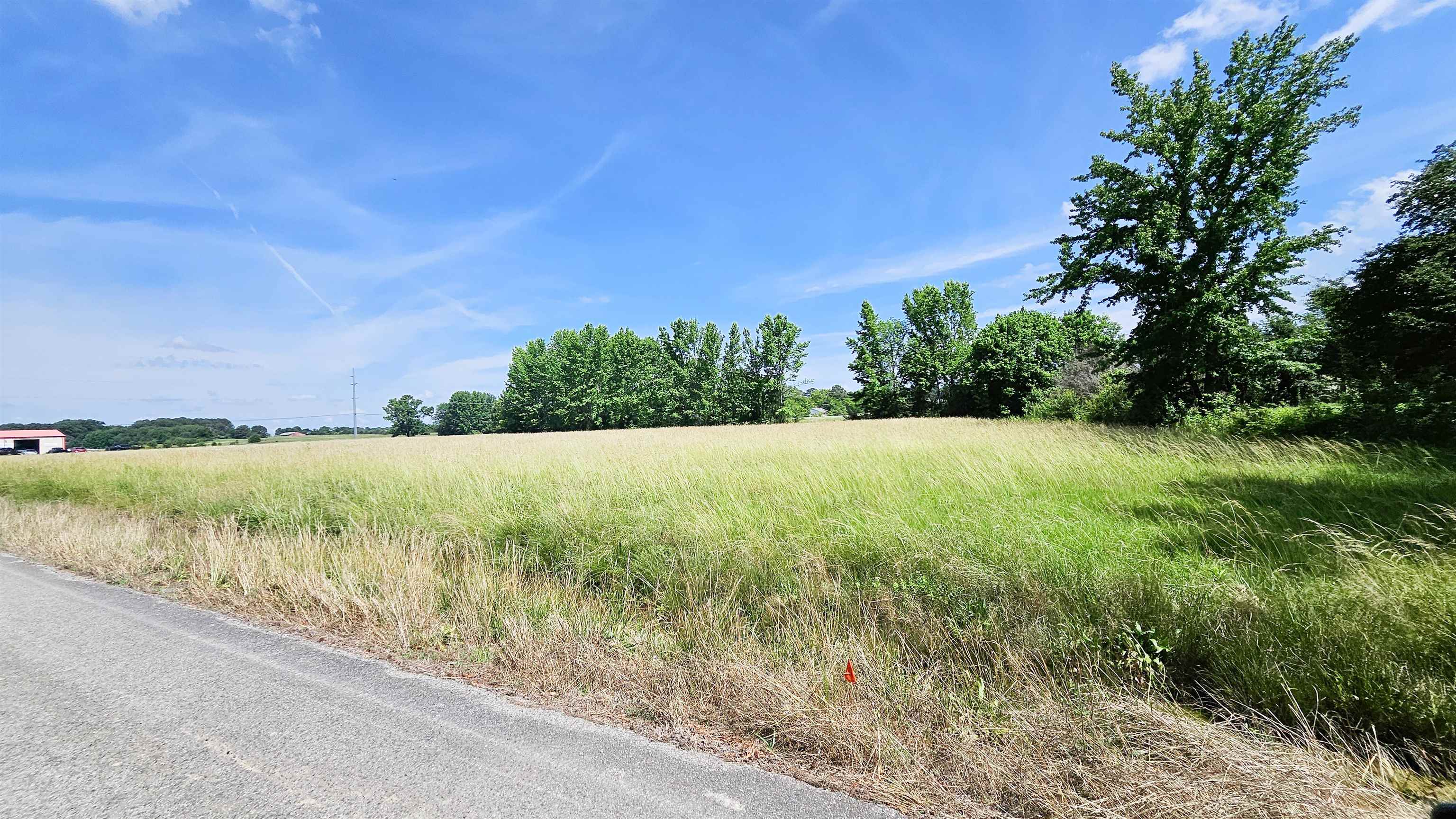 0 Hwy 101, Rogersville, AL 35652 — photo 3