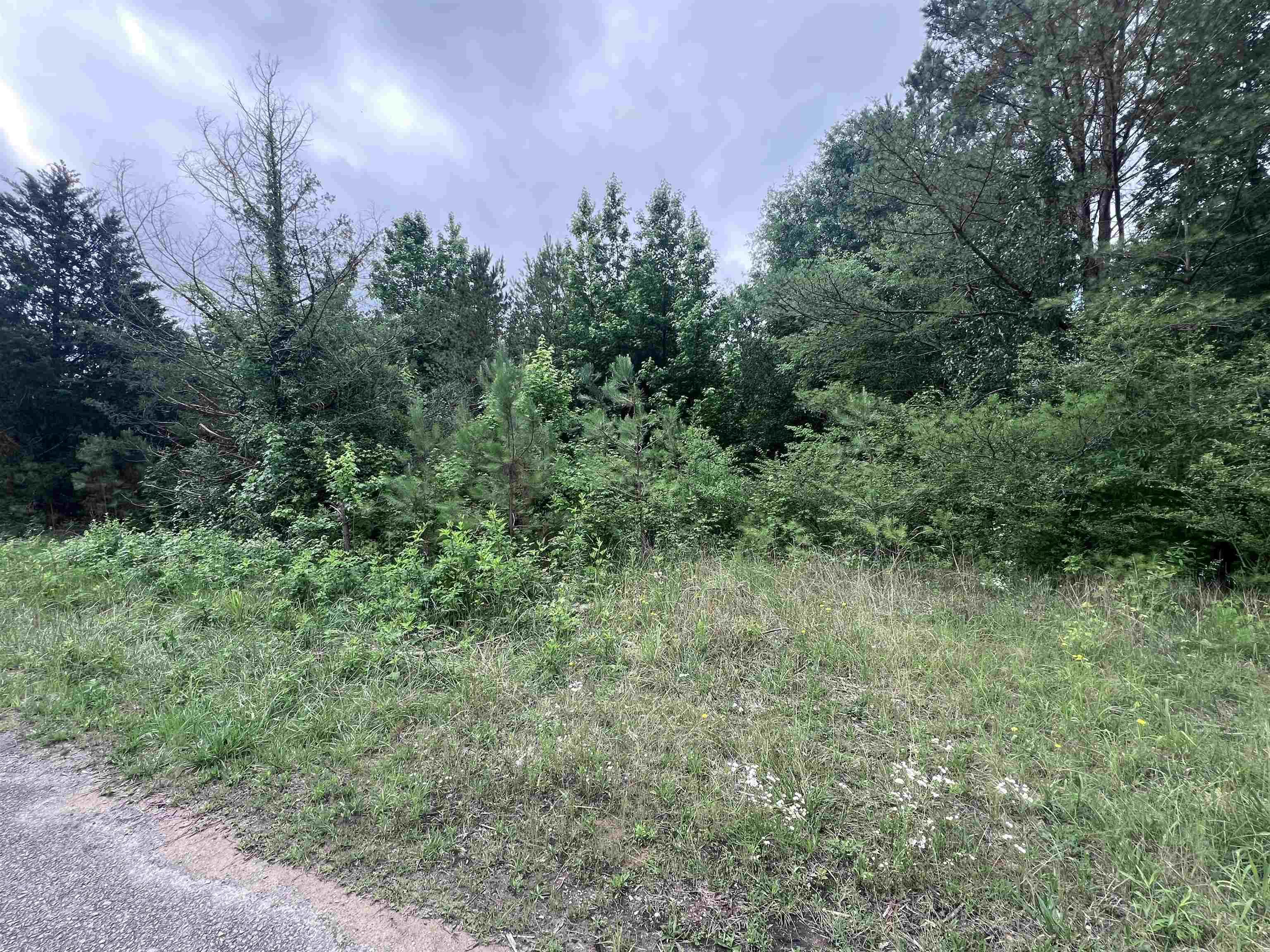 311 CR 3410 Co Rd 3410, Haleyville, AL 35565 — photo 2
