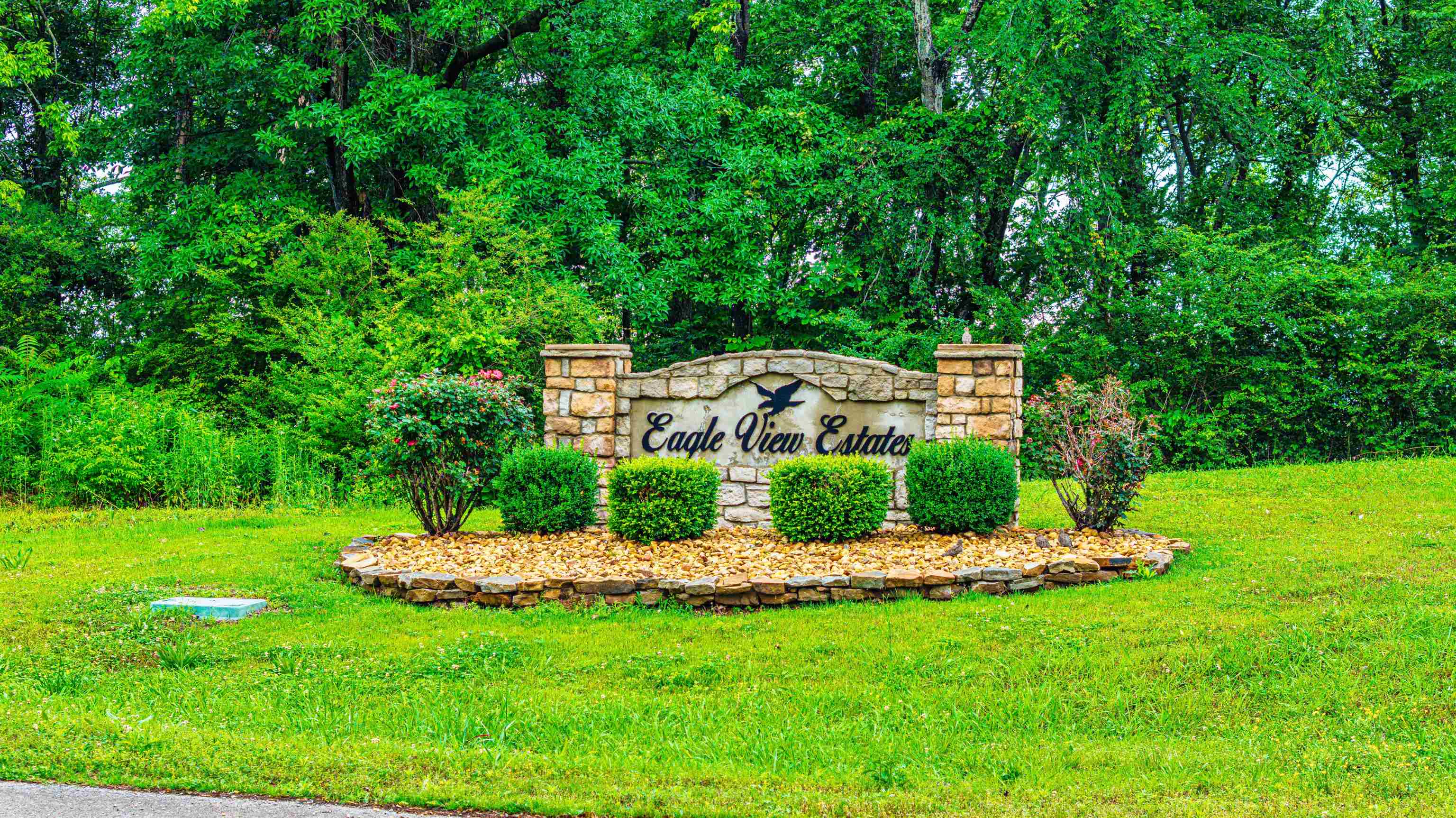 lot 1 Eagle View Dr, Muscle Shoals, AL 35661 — photo 4