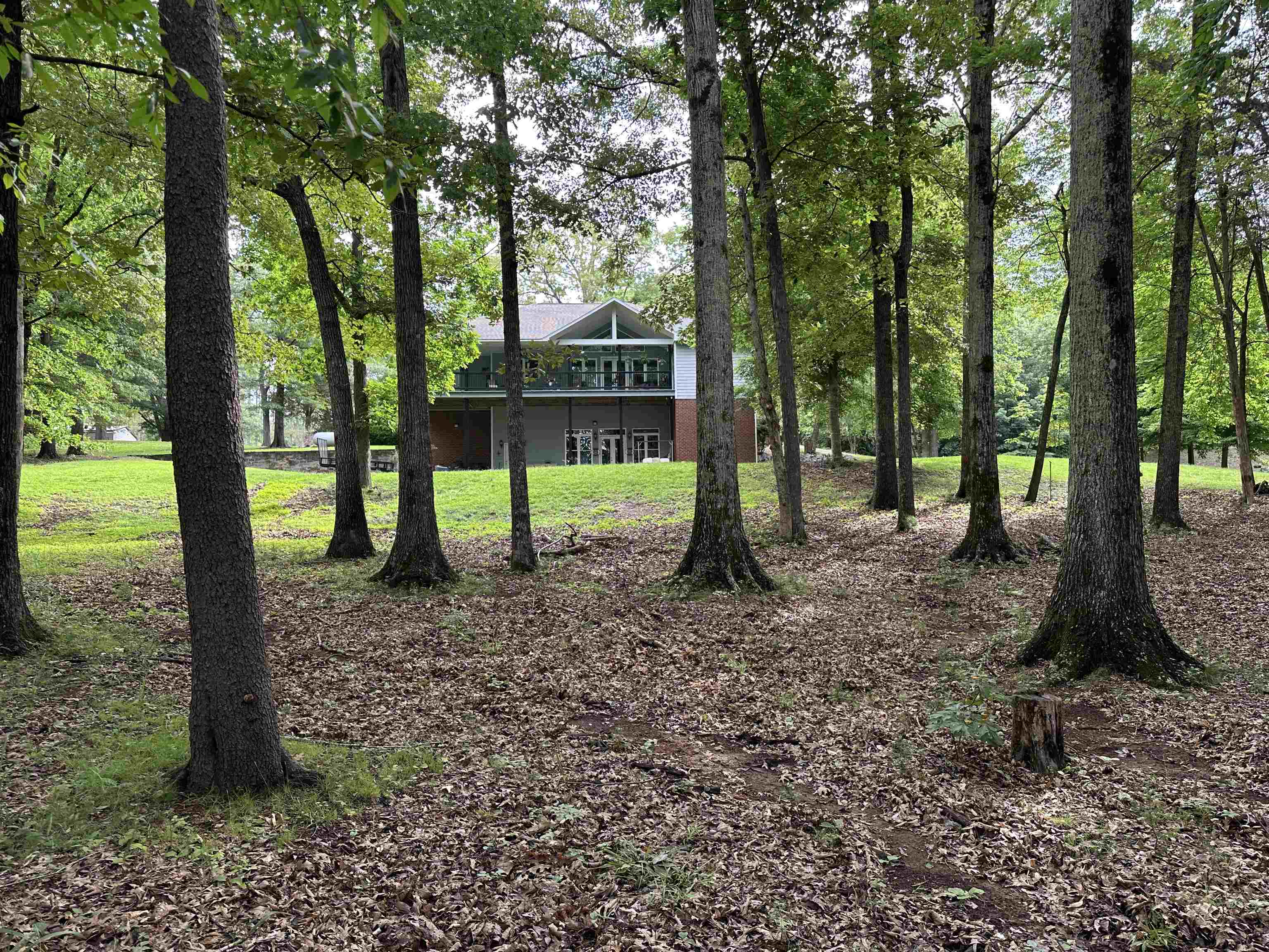 133 Cove Point Rd, Spruce Pine, AL 35585 — photo 2
