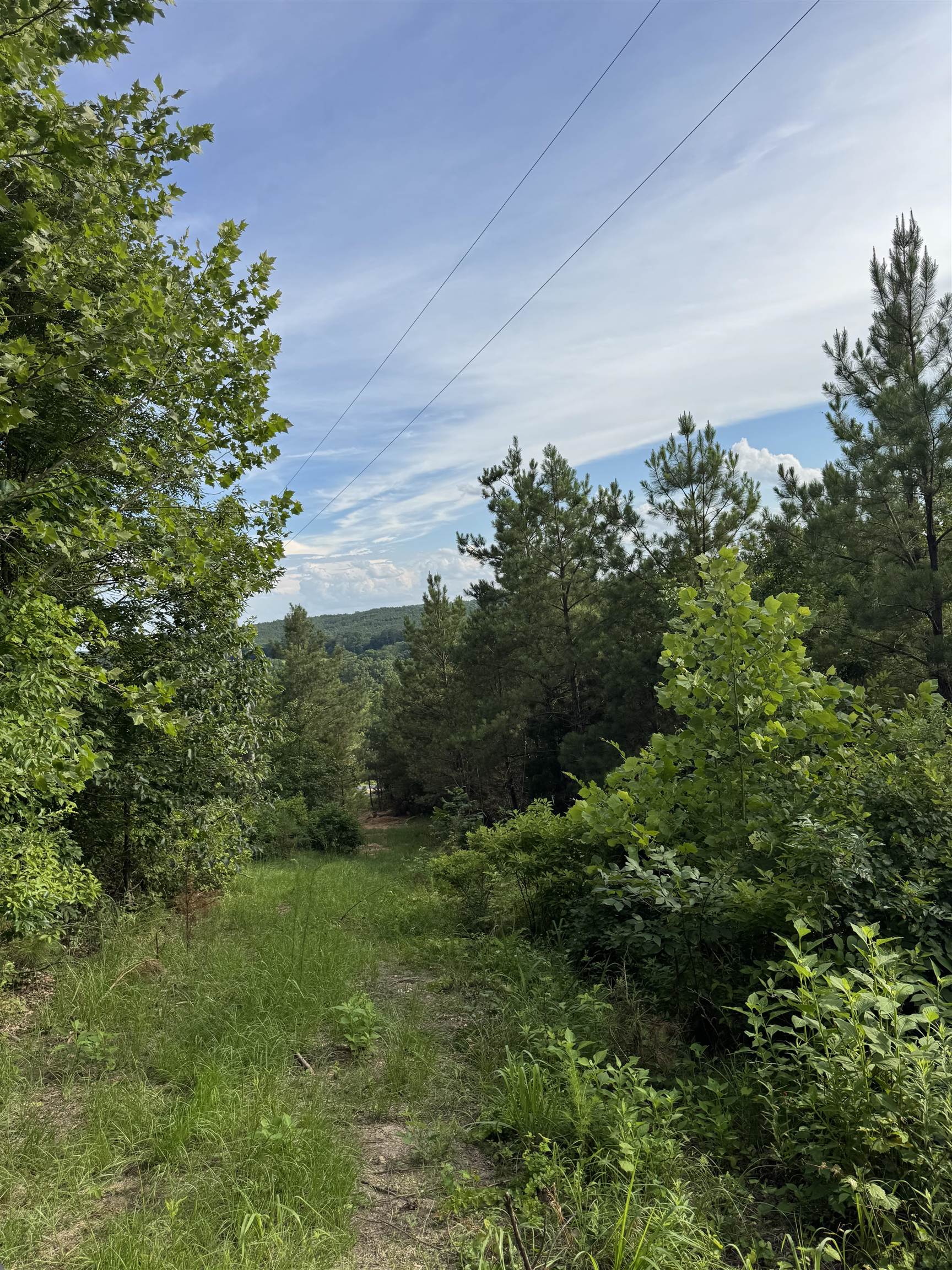 9835 Hwy 24