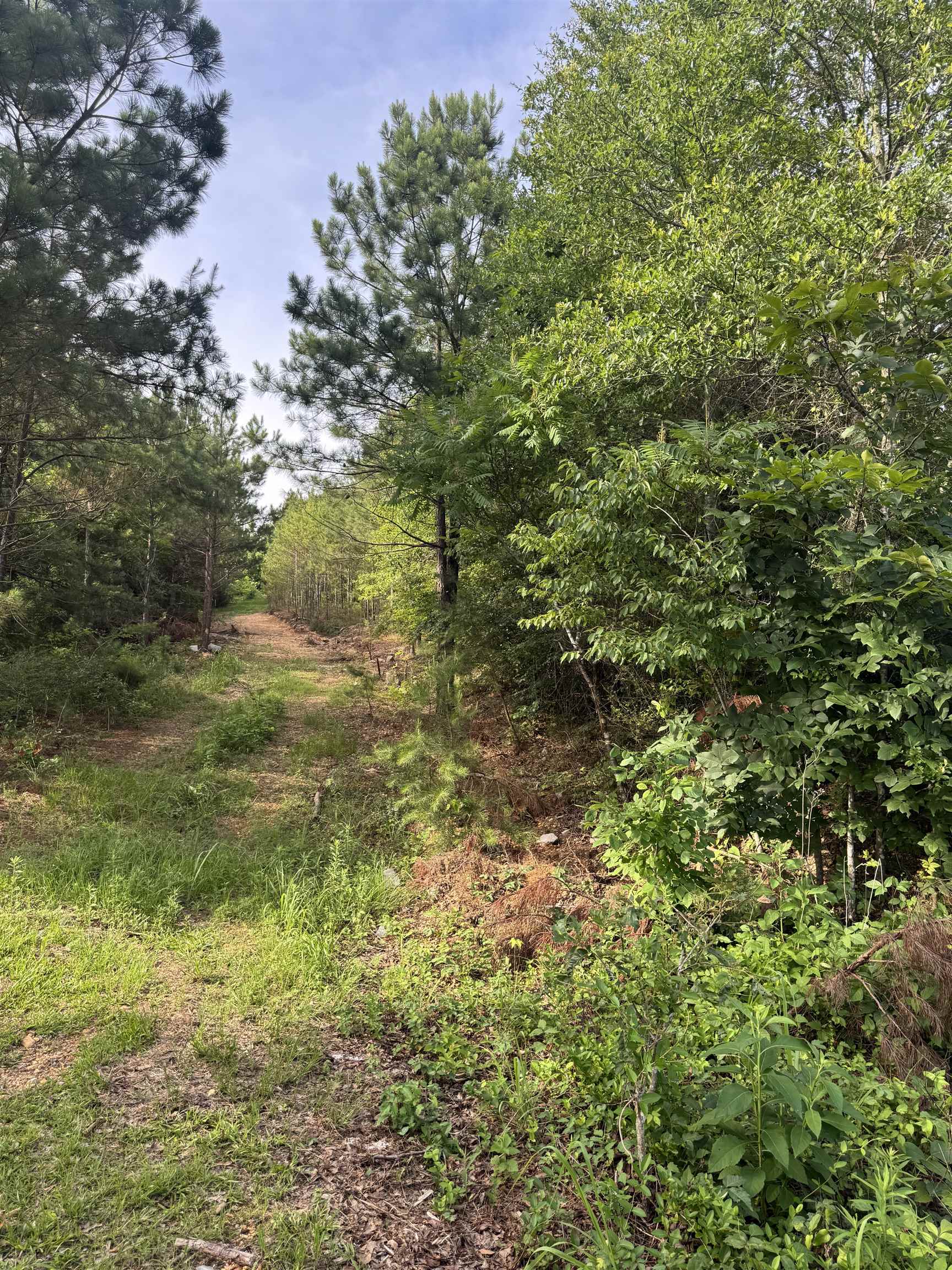 9835 Hwy 24