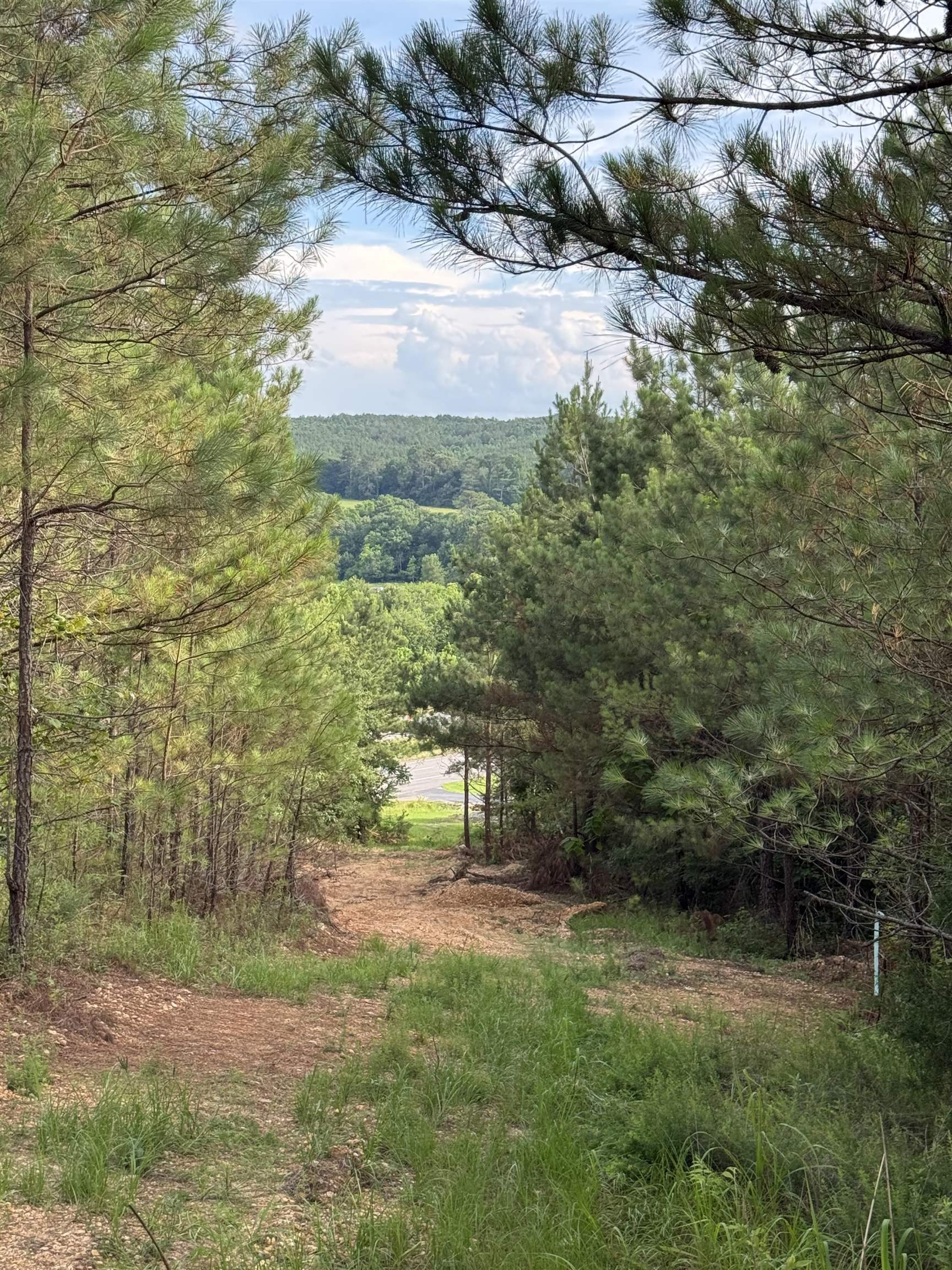 9835 Hwy 24