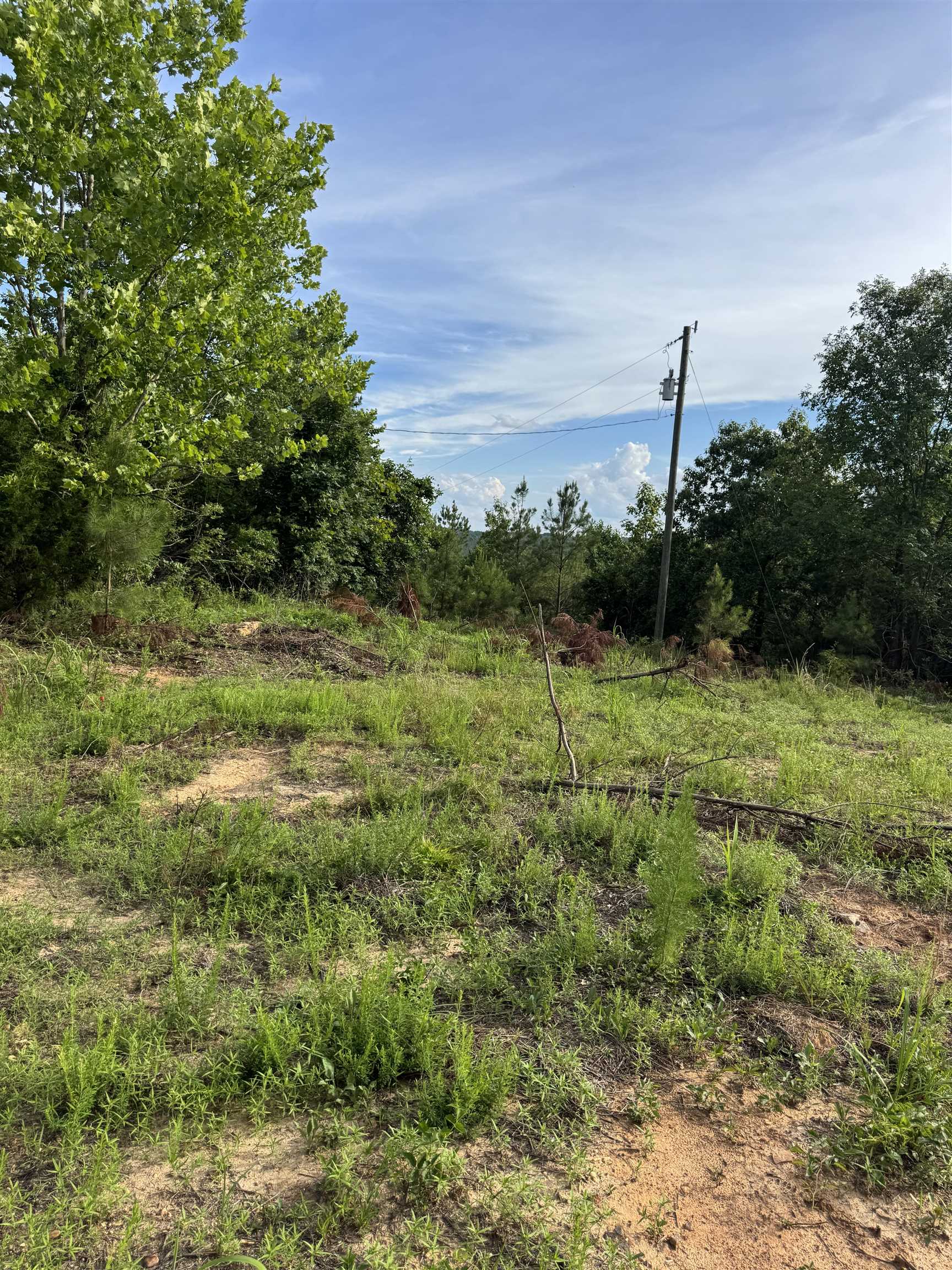 9835 Hwy 24, Vina, AL 35593 — photo 10