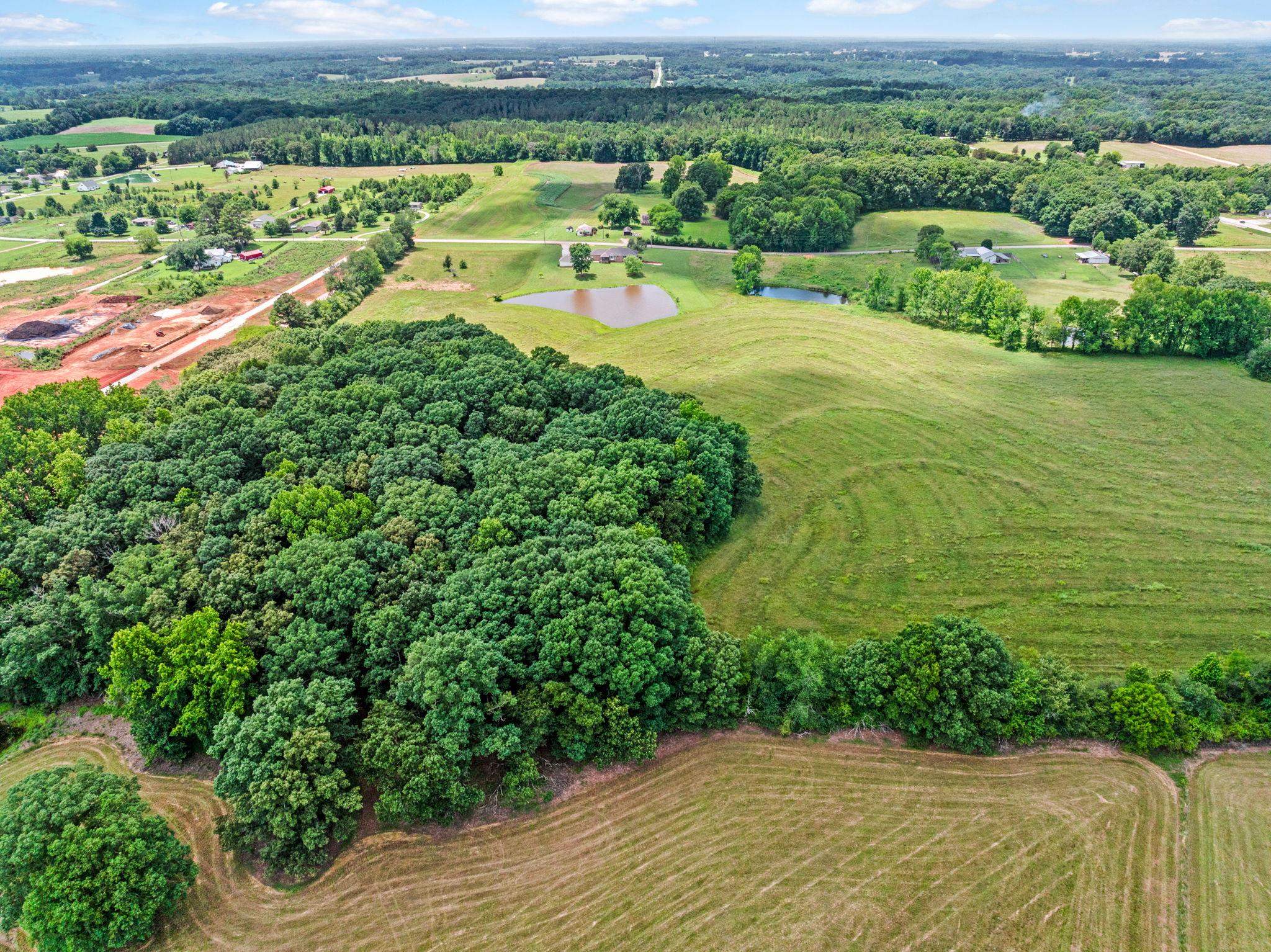 00 Co Rd 501, Anderson, AL 35610 — photo 3