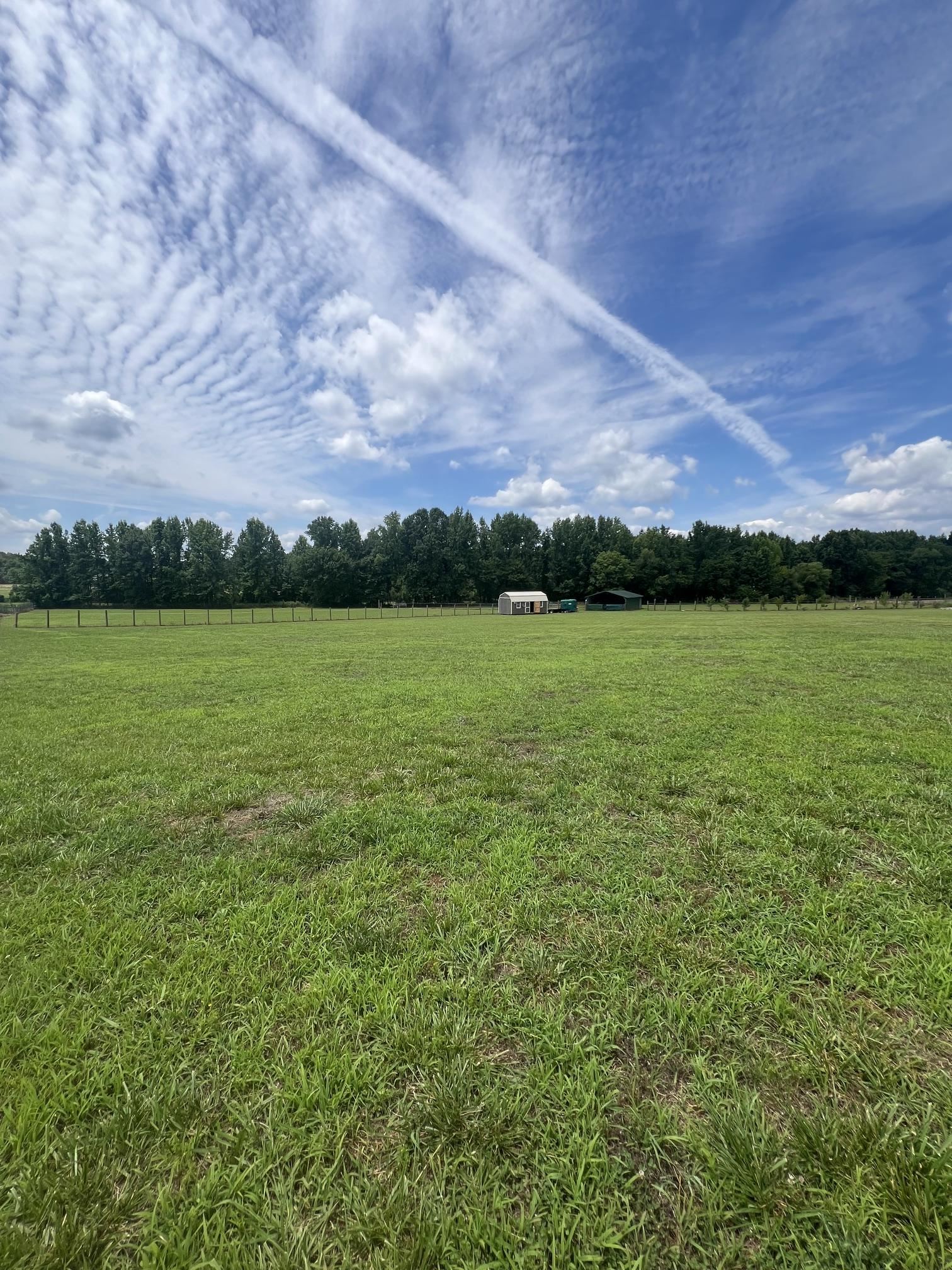 3933 Co Rd 33, Killen, AL 35645 — photo 4