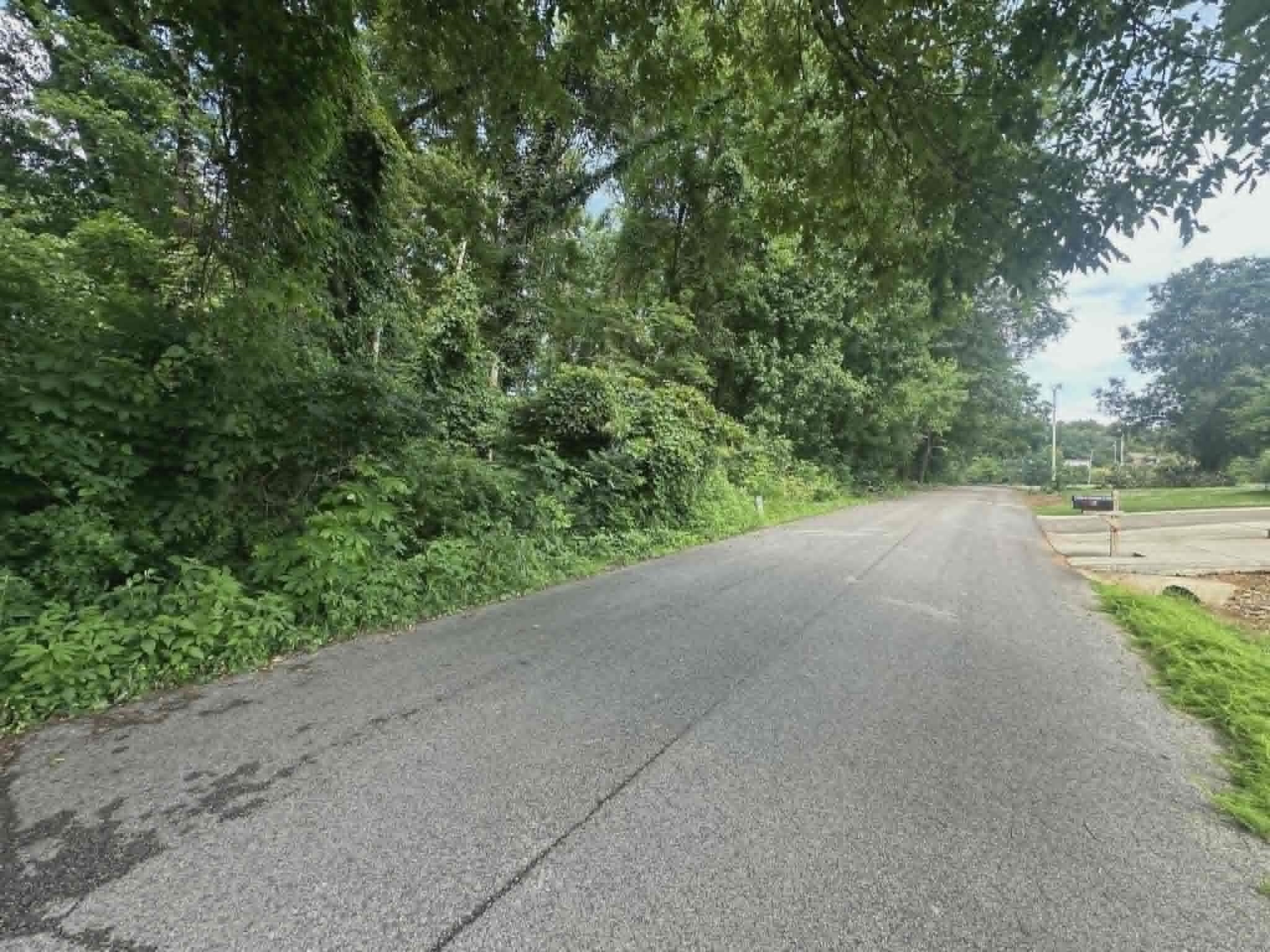 0 N Dabney Ln, Rogersville, AL 35652 — photo 4