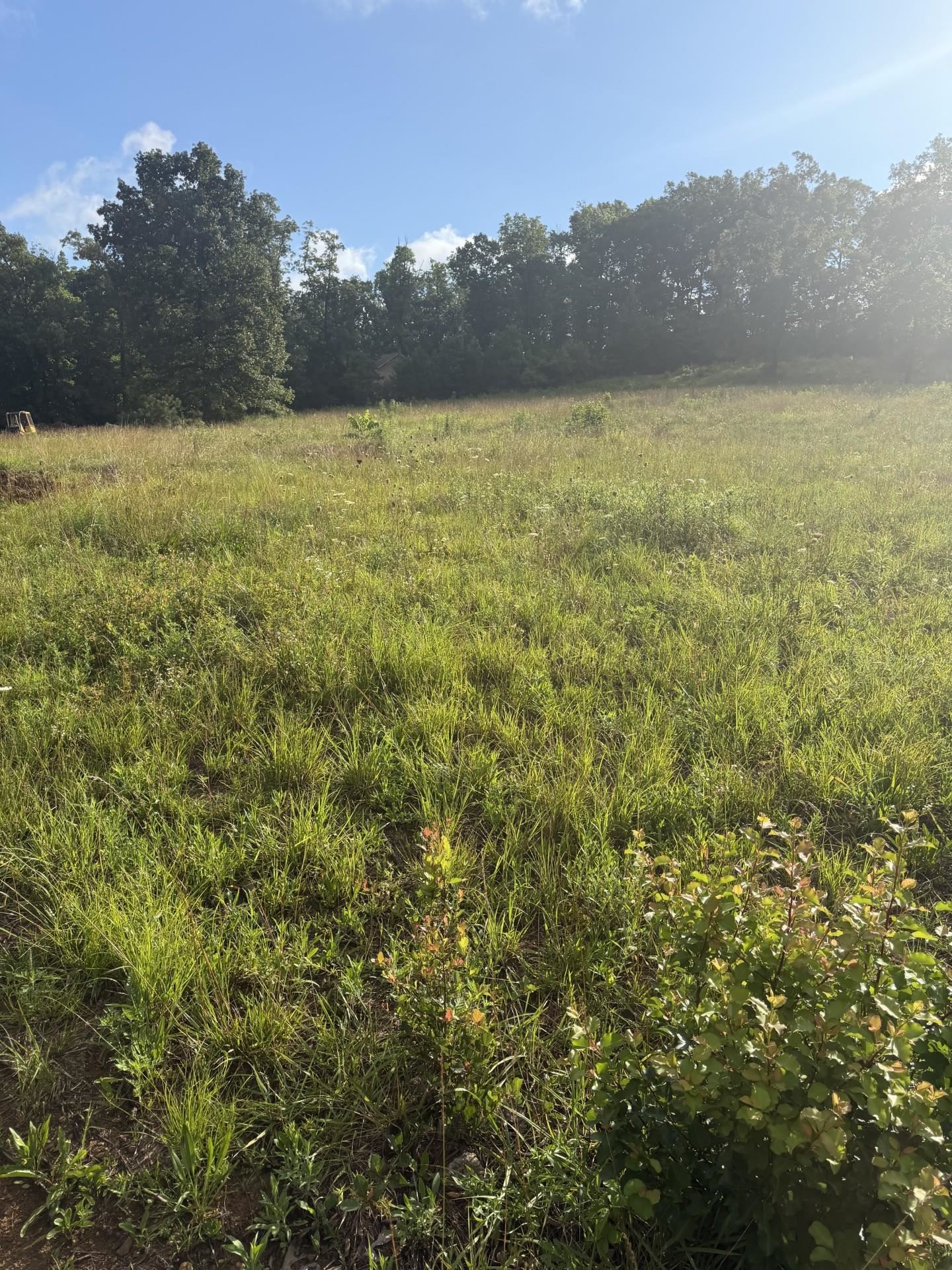 00 Lot 2 Lost Creek Rd