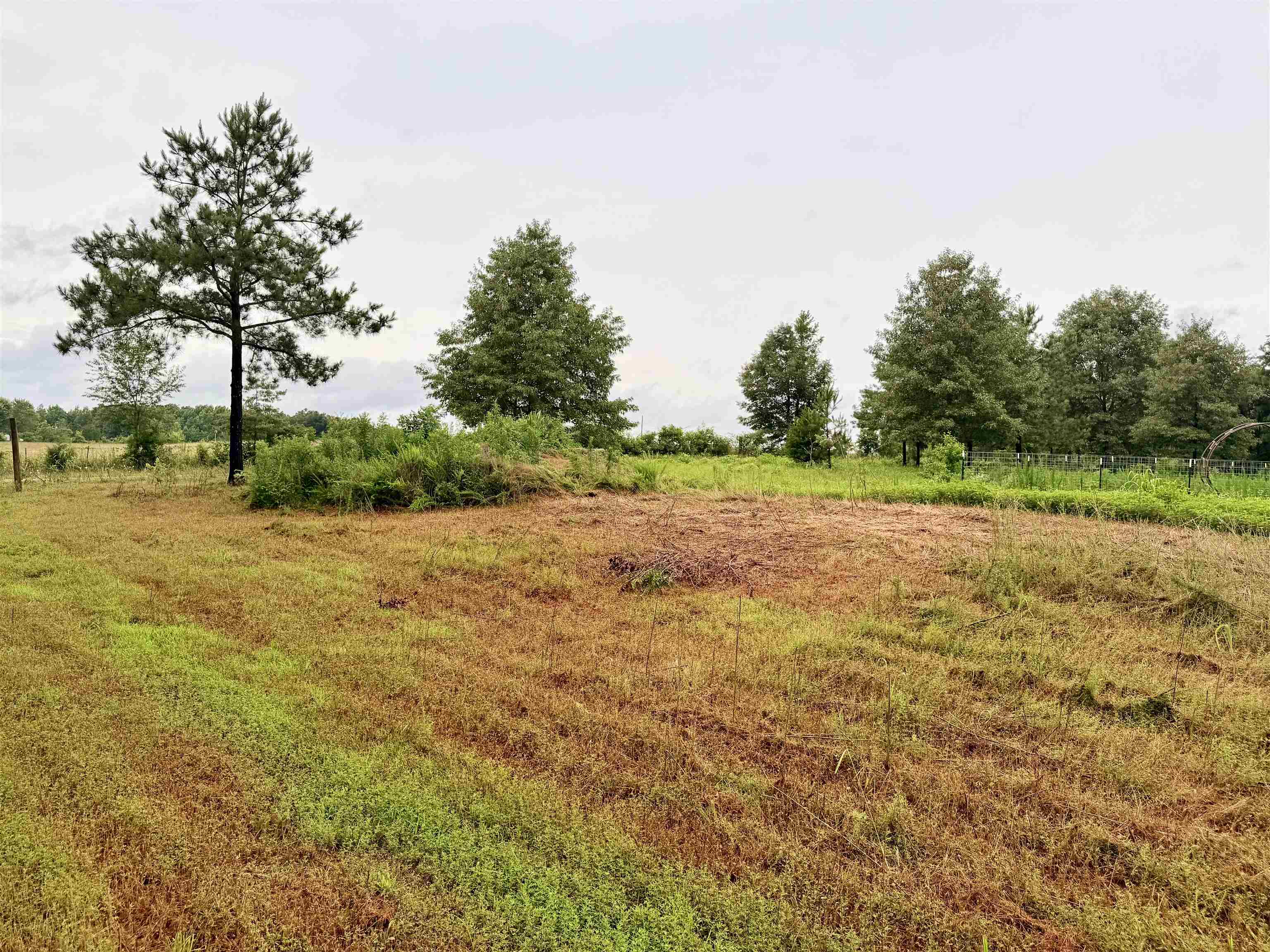 1022 Co Rd 545, Rogersville, AL 35652 — photo 6