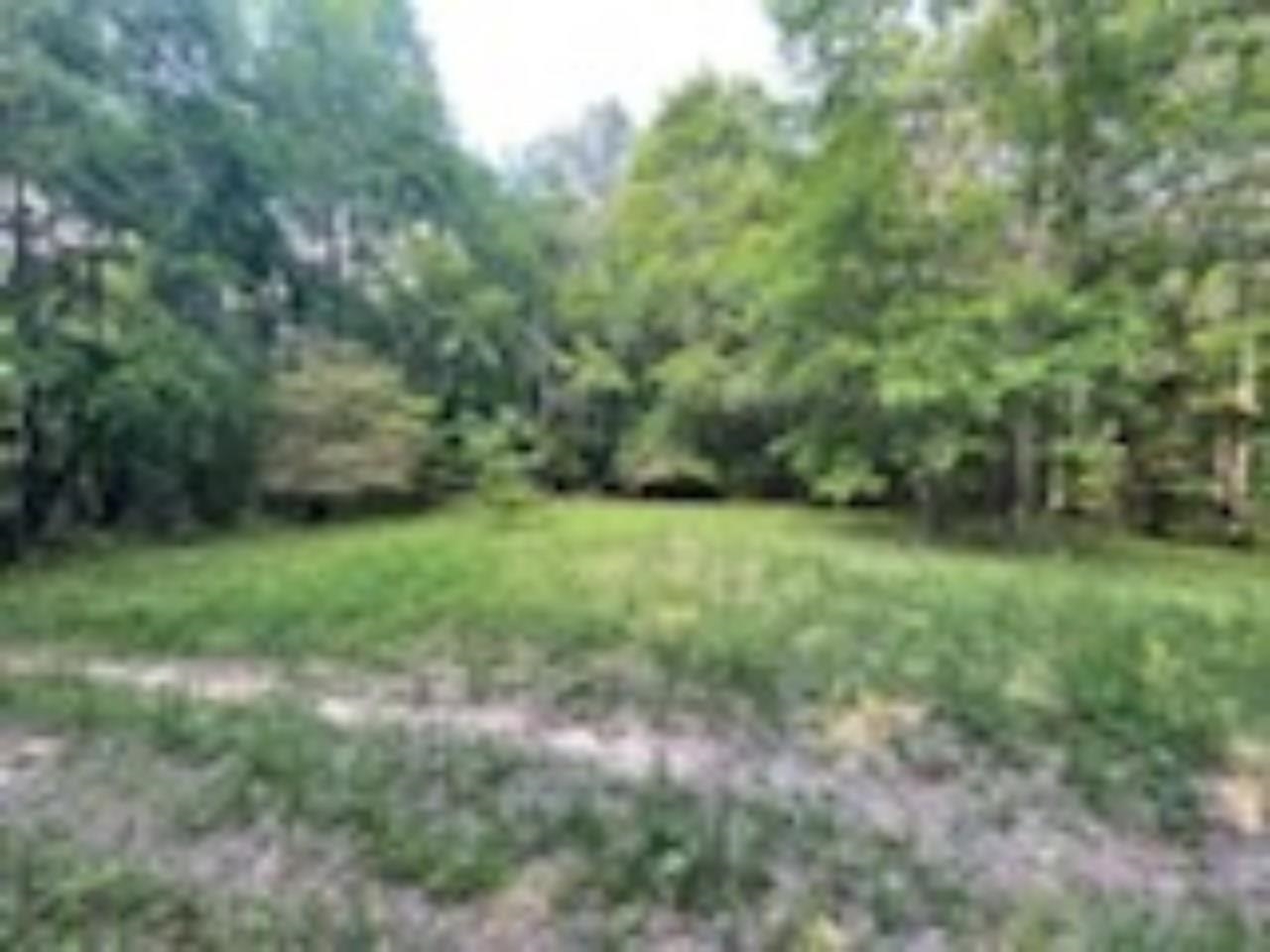 001 Hindman Rd, Hodges, AL 35571 — photo 9