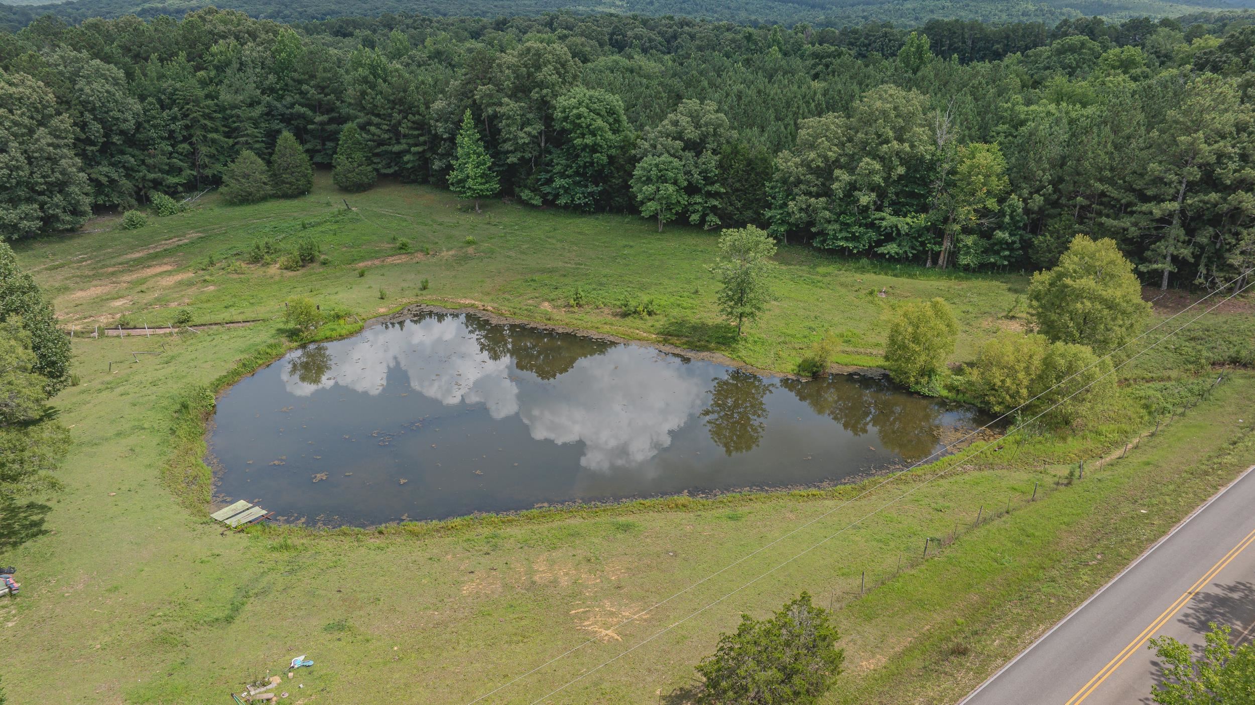 12210 Mt Hester Rd, Cherokee, AL 35616 — photo 4