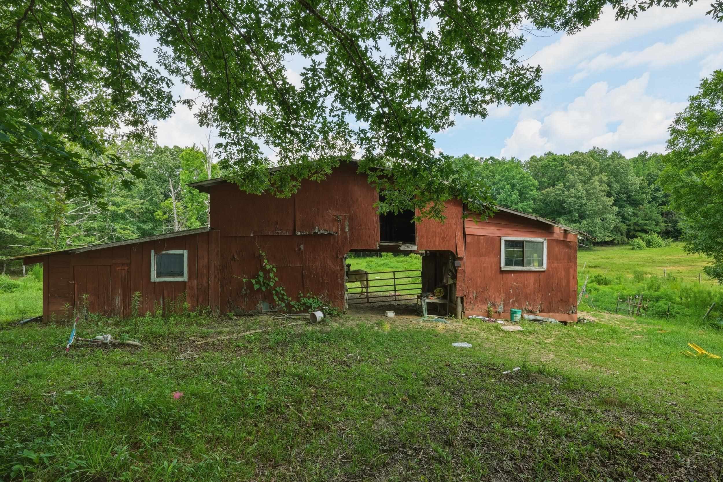 12210 Mt Hester Rd, Cherokee, AL 35616 — photo 5