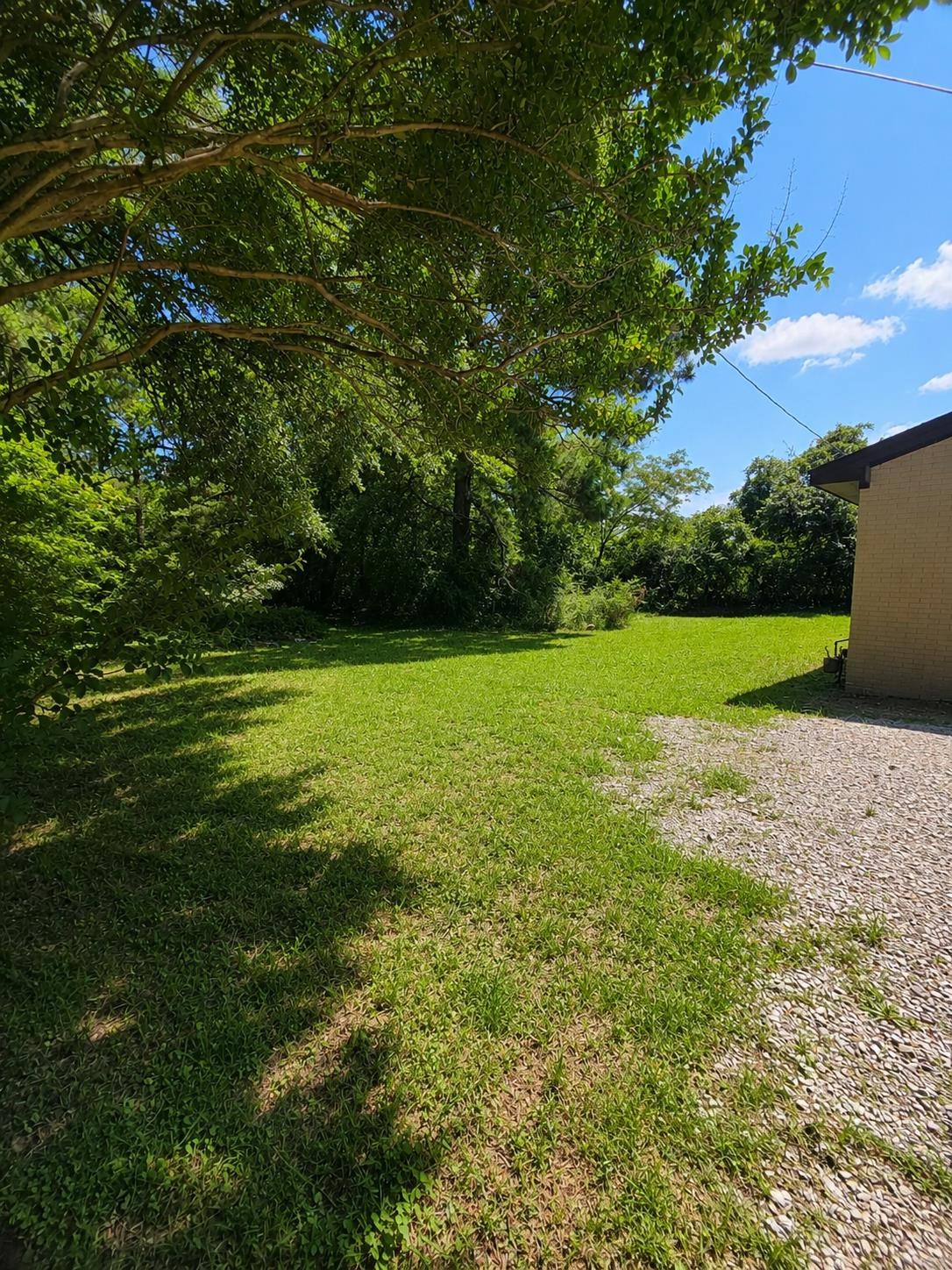 2497 Hwy 78, Russellville, AL 35654 — photo 11