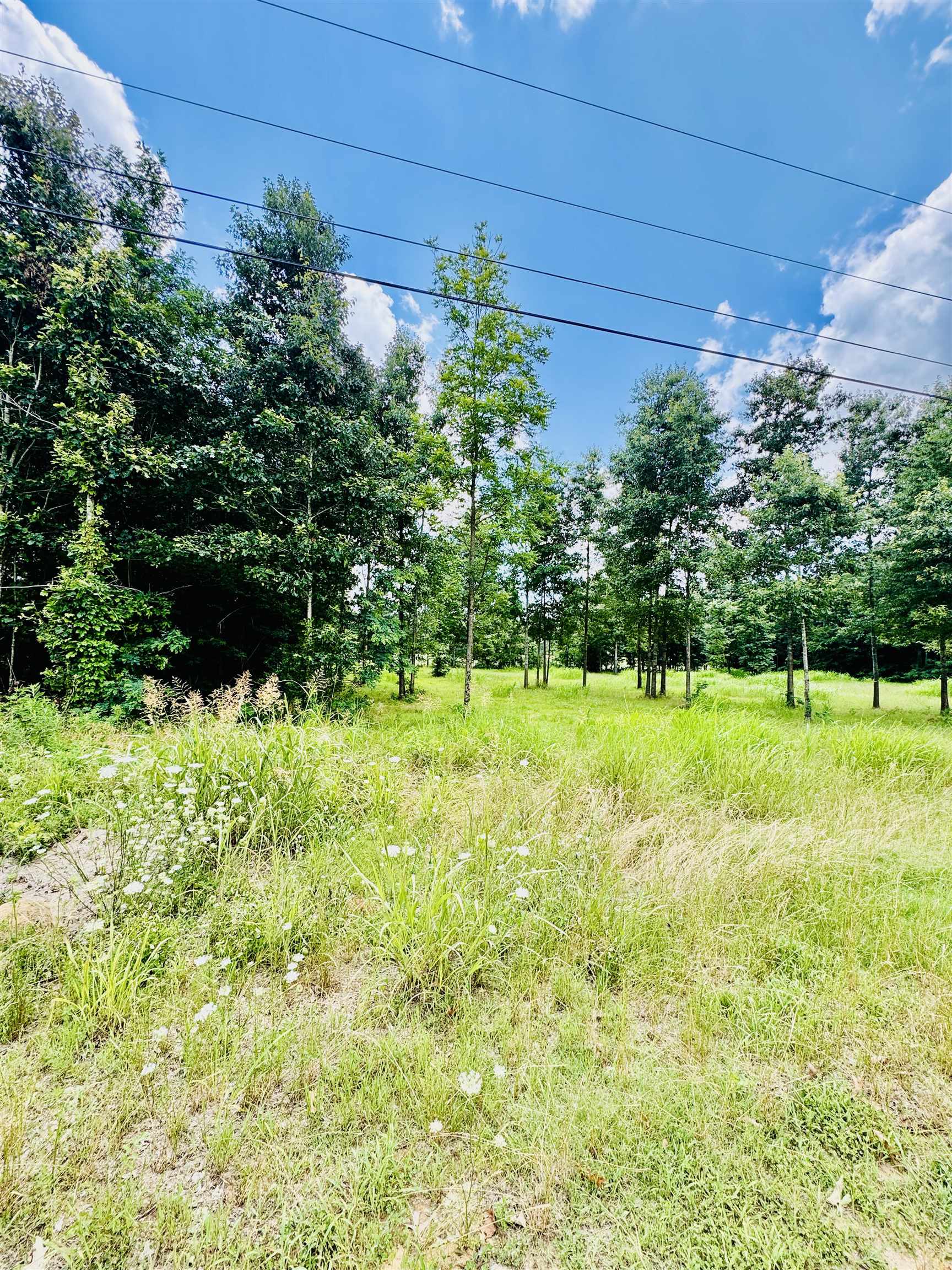 0 Pride Estates Rd, Tuscumbia, AL 35674 — photo 1