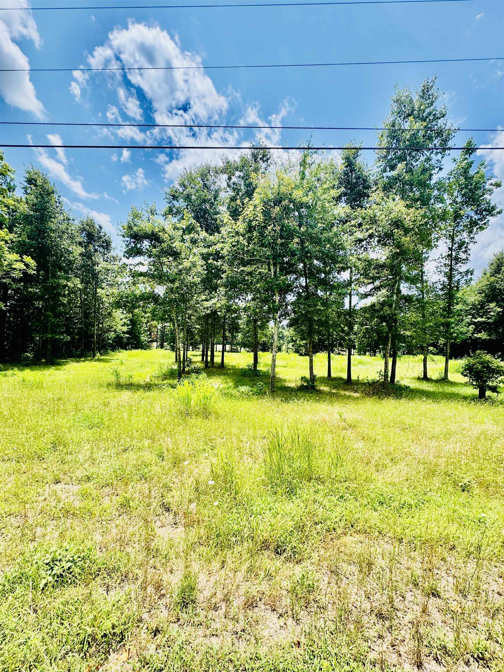 0 Pride Estates Rd, Tuscumbia, AL 35674 — photo 3