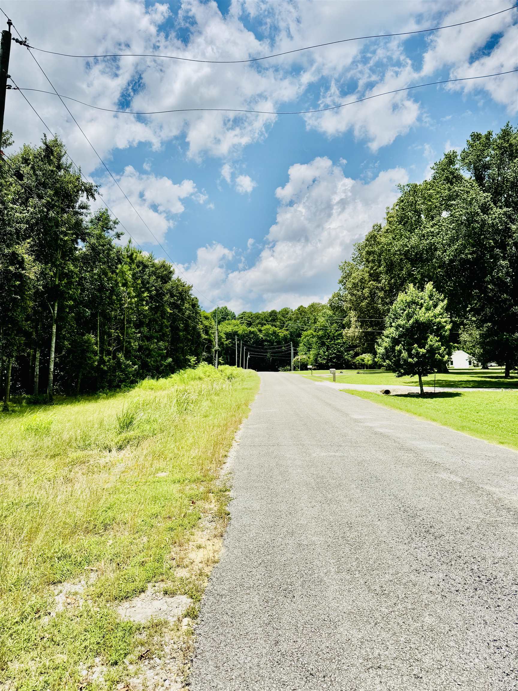 0 Pride Estates Rd, Tuscumbia, AL 35674 — photo 5