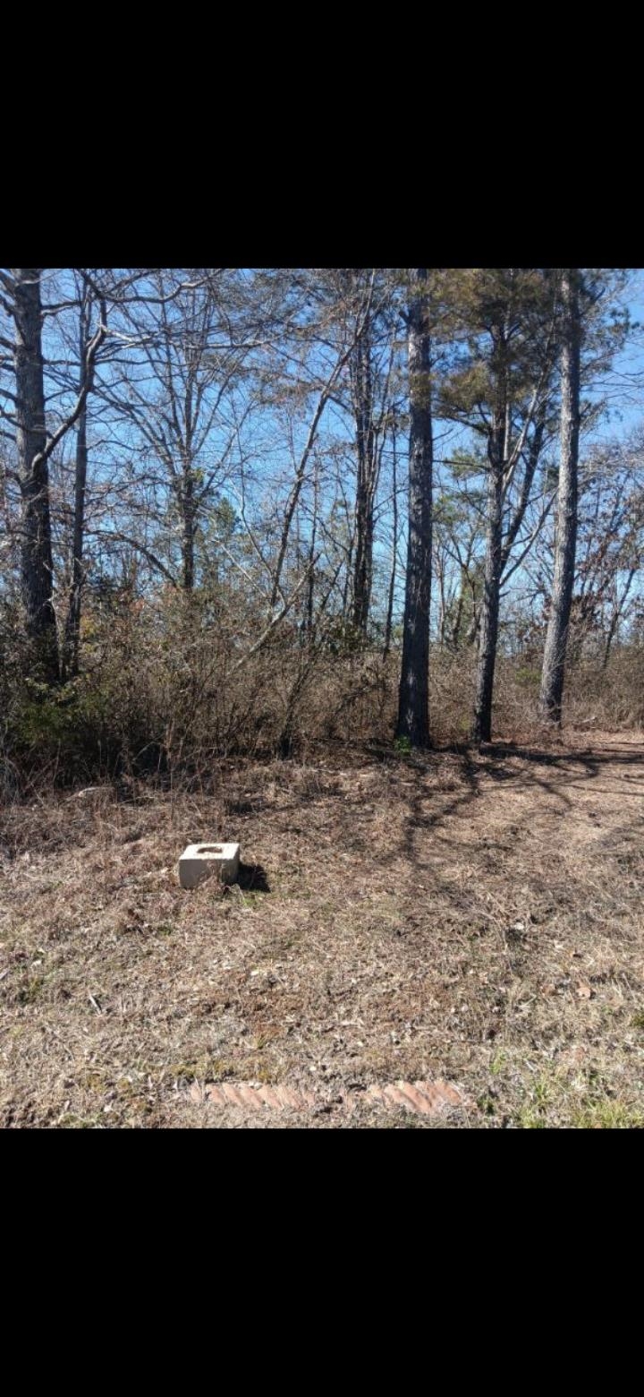 307 Roberts St, Hamilton, AL 35570 — photo 1