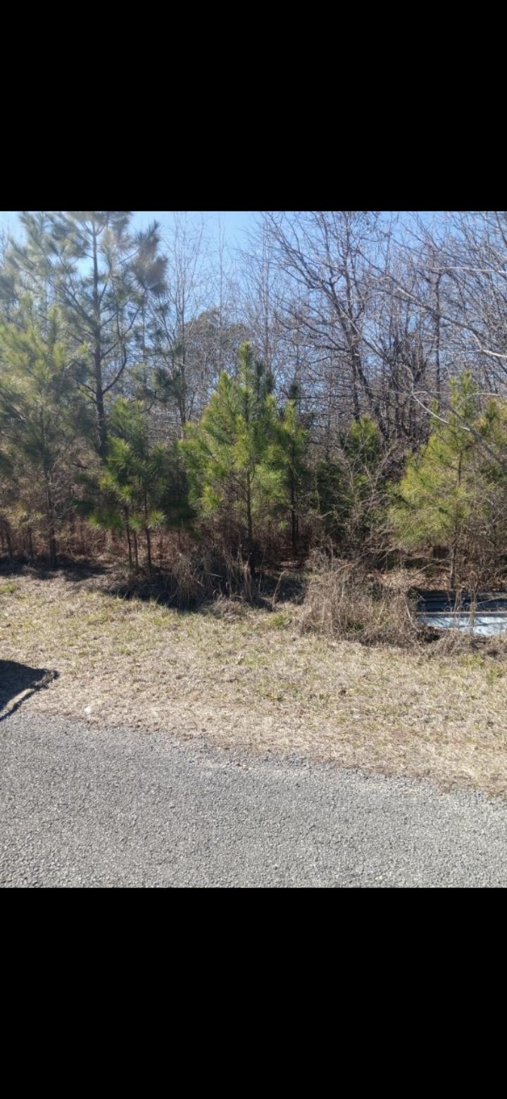 307 Roberts St, Hamilton, AL 35570 — photo 3