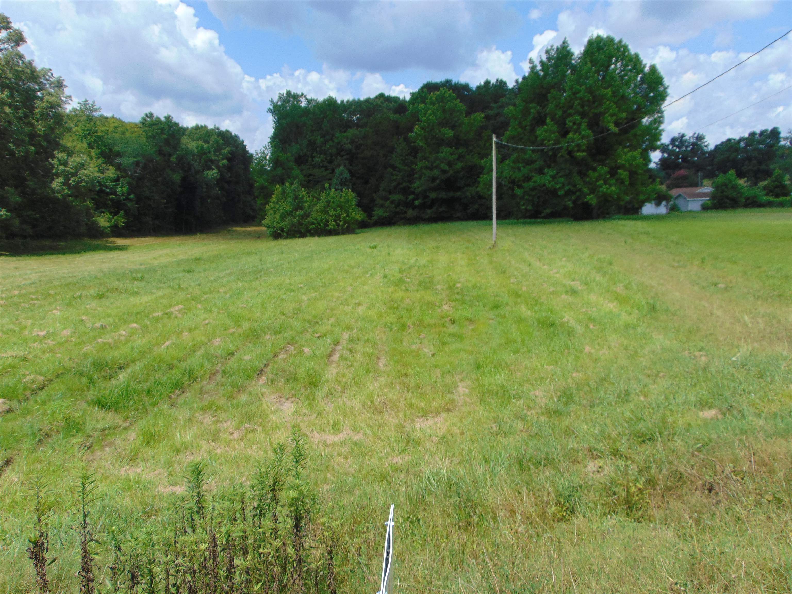3647 Red Rock Rd, Cherokee, AL 35616 — photo 2