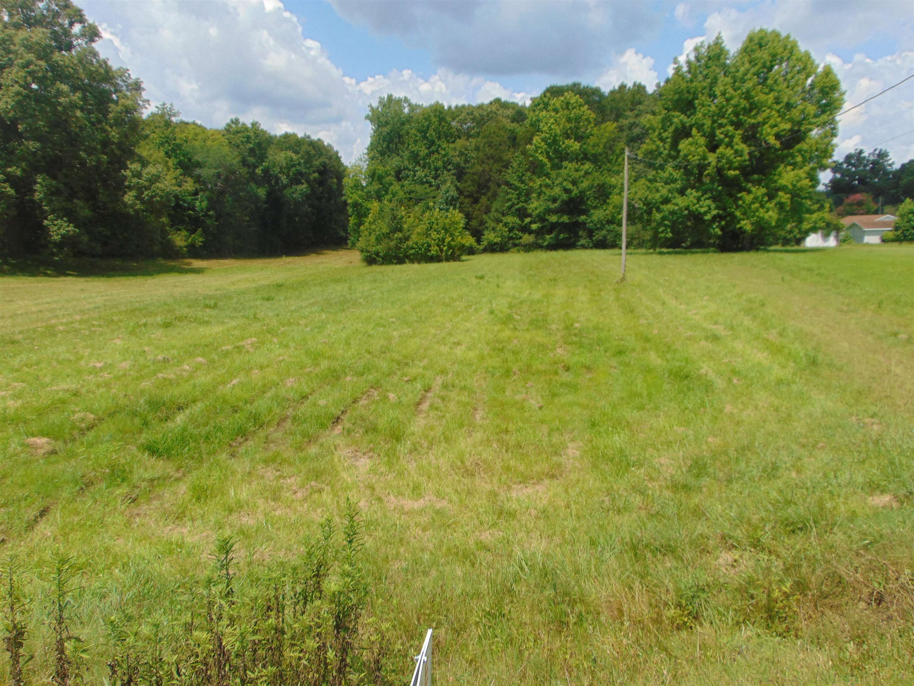 3647 Red Rock Rd, Cherokee, AL 35616 — photo 11