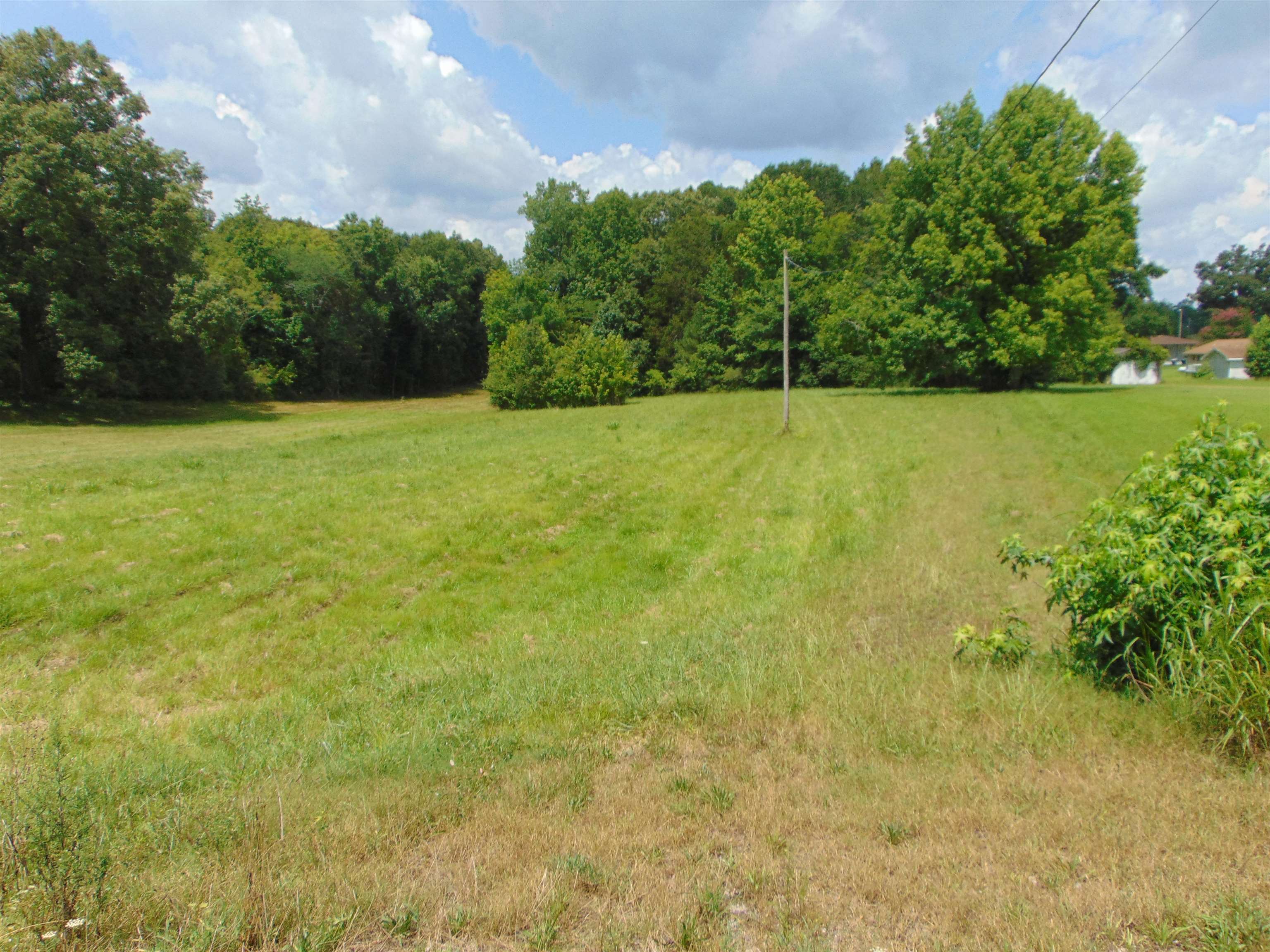 3647 Red Rock Rd, Cherokee, AL 35616 — photo 12