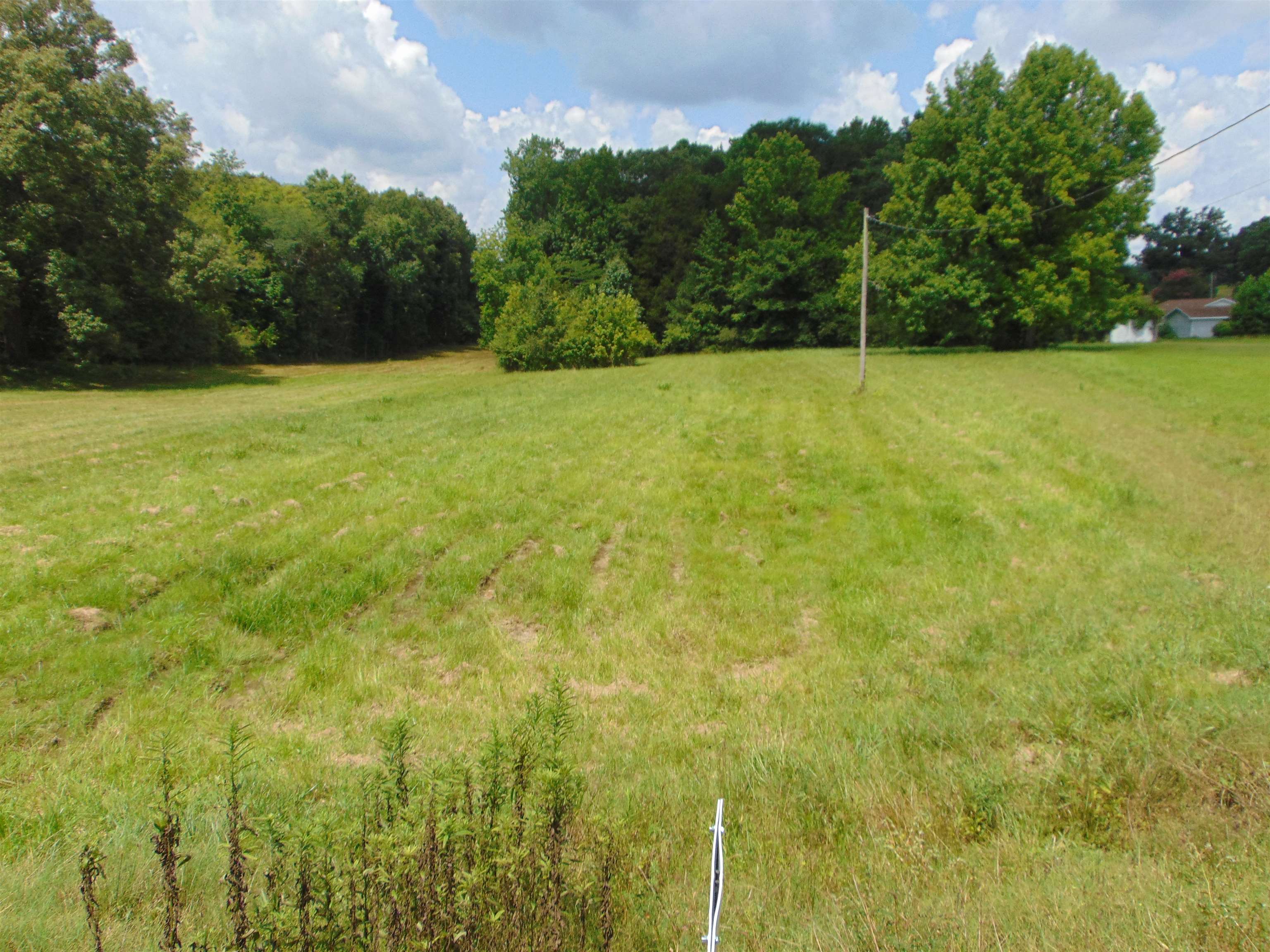 3647 Red Rock Rd, Cherokee, AL 35616 — photo 6