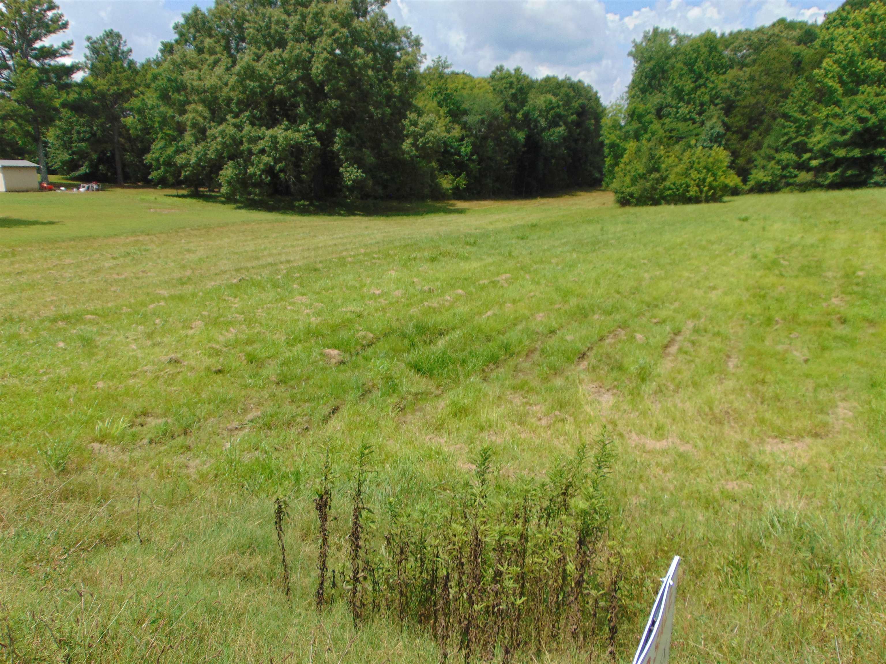 3647 Red Rock Rd, Cherokee, AL 35616 — photo 9