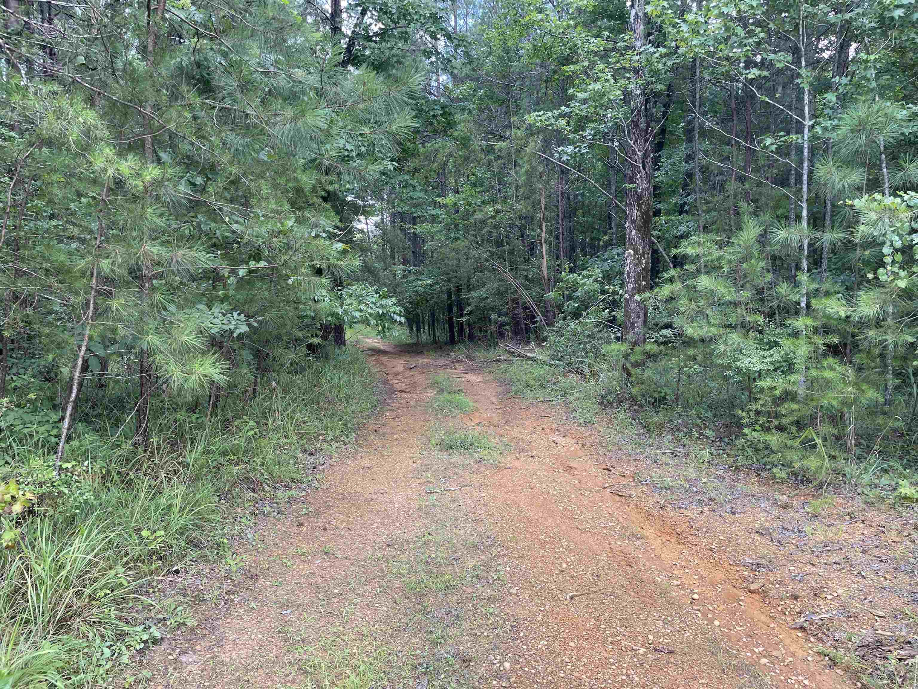 0 Co Rd 24, Eldridge, AL 35554 — photo 1