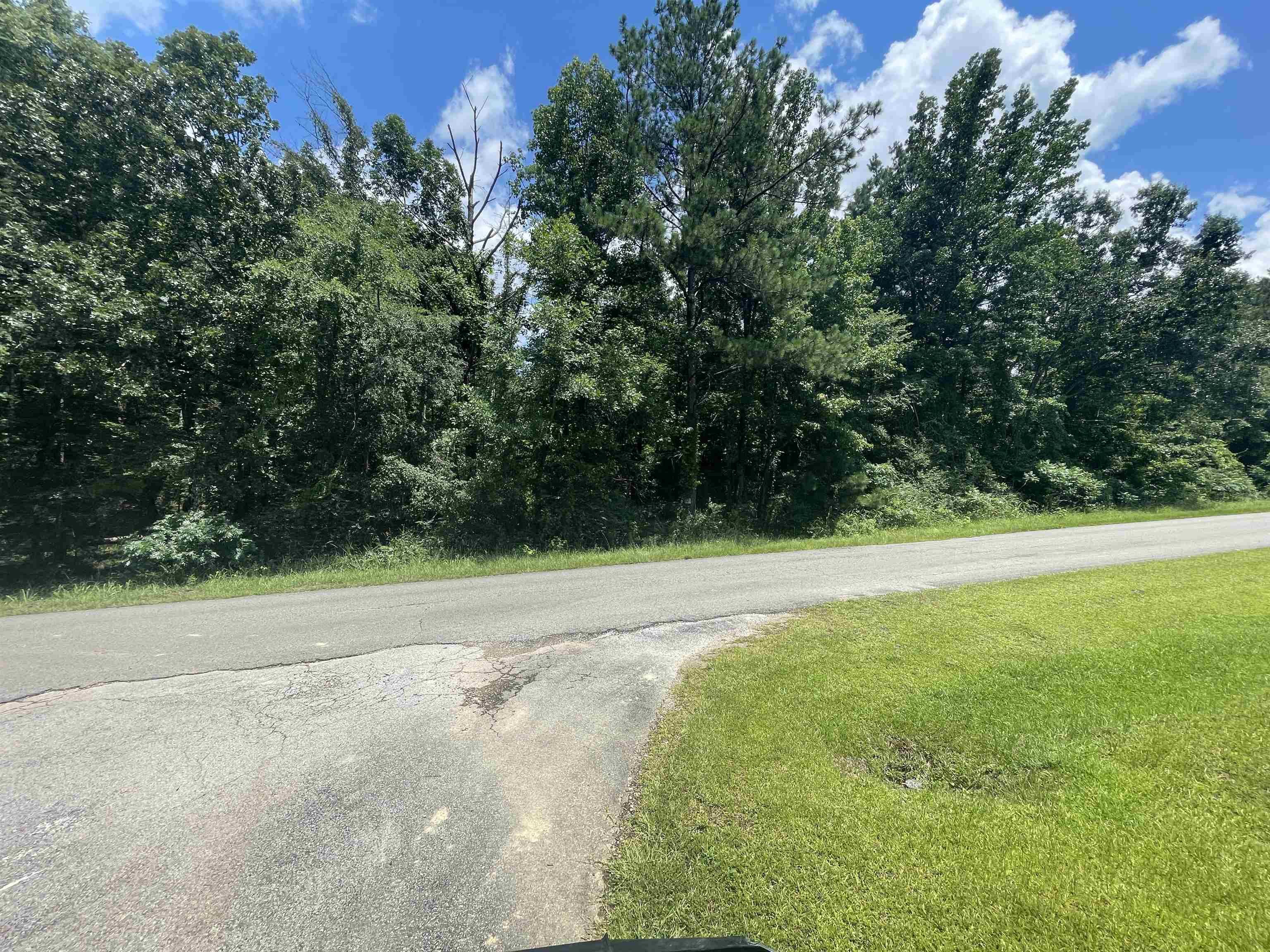 0 Co Rd 24, Eldridge, AL 35554 — photo 11