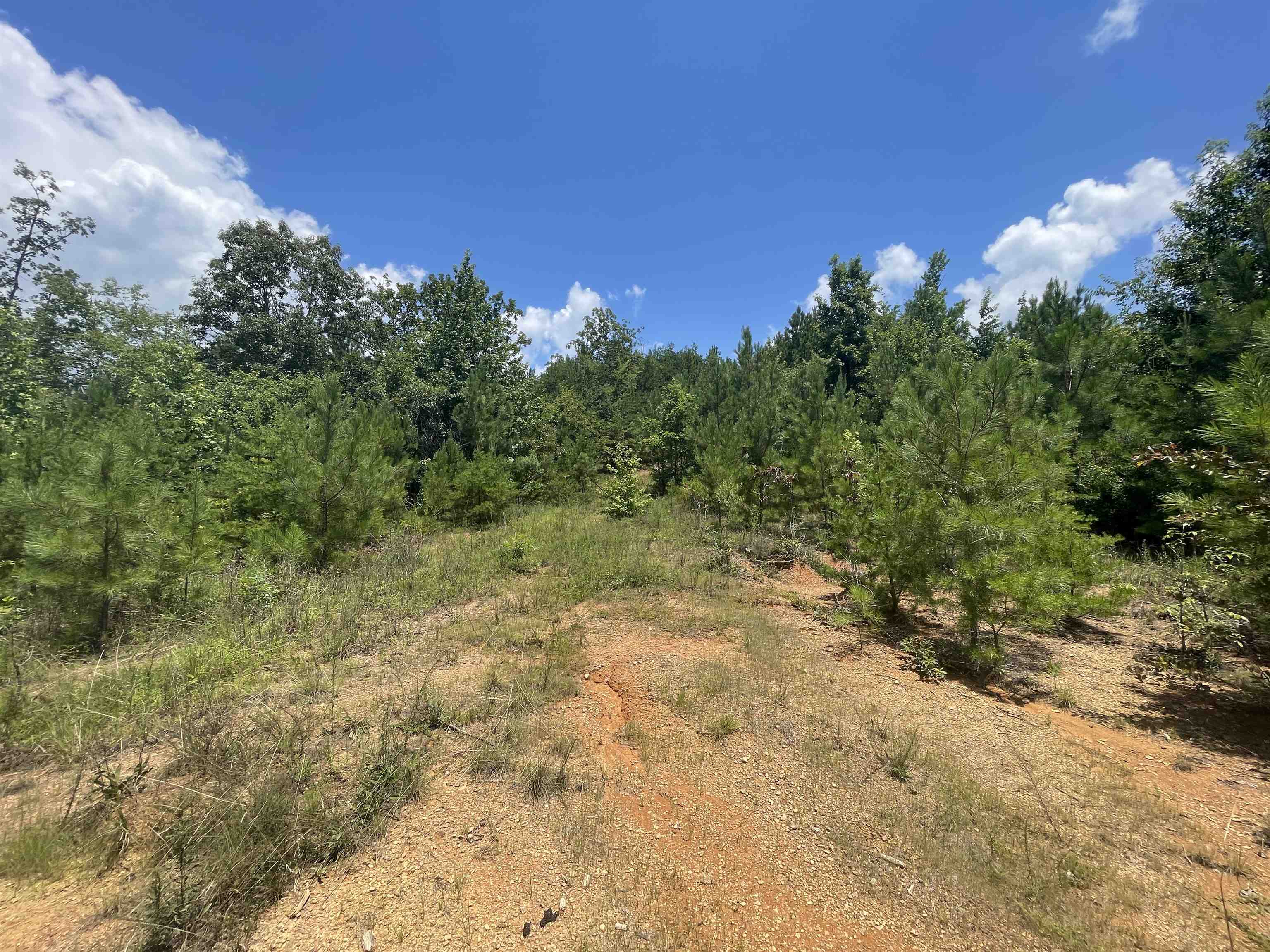 0 Co Rd 24, Eldridge, AL 35554 — photo 6