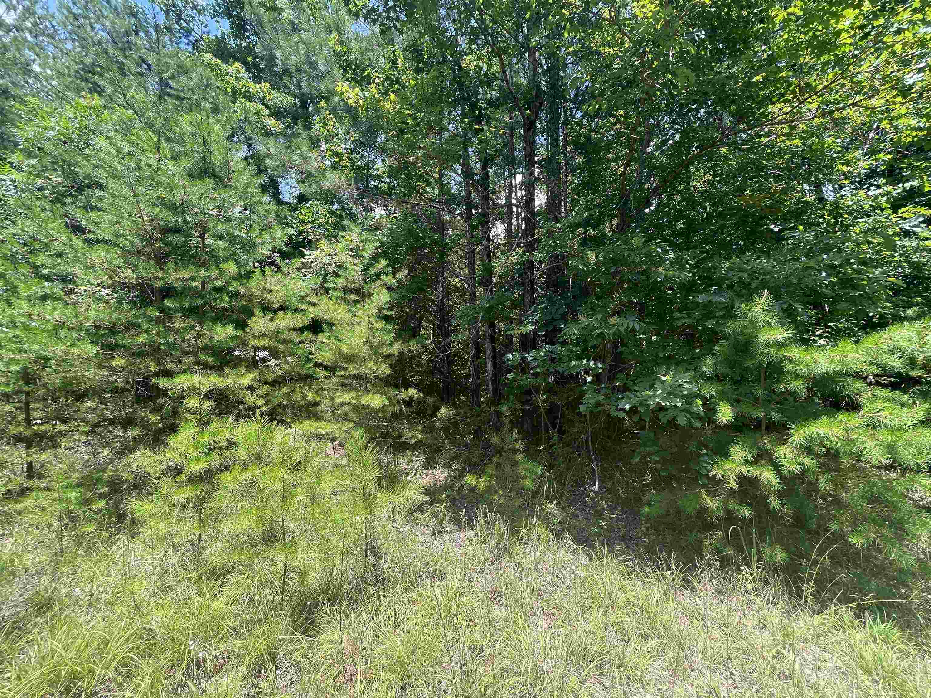 0 Co Rd 24, Eldridge, AL 35554 — photo 7