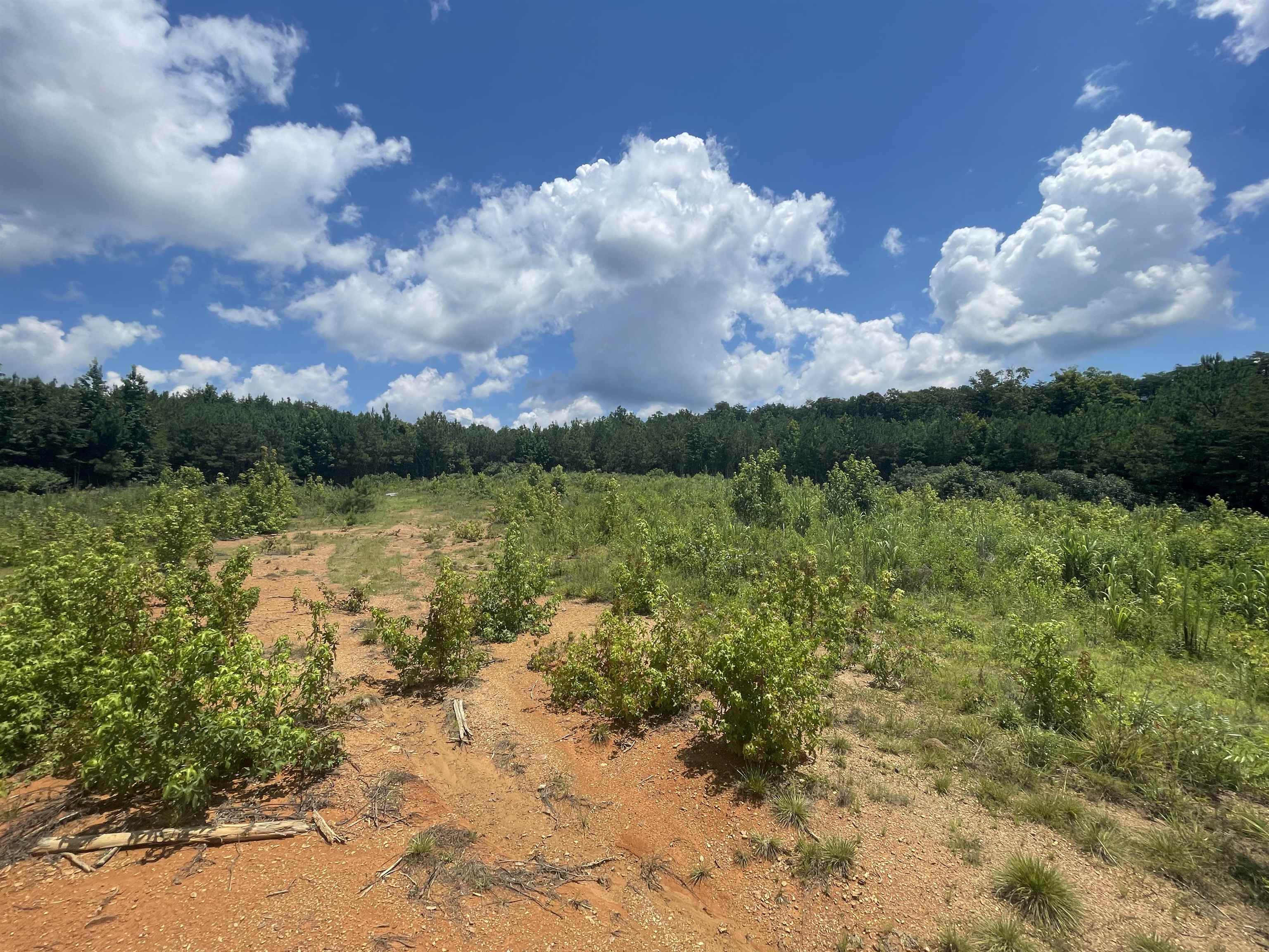 0 Co Rd 24, Eldridge, AL 35554 — photo 9