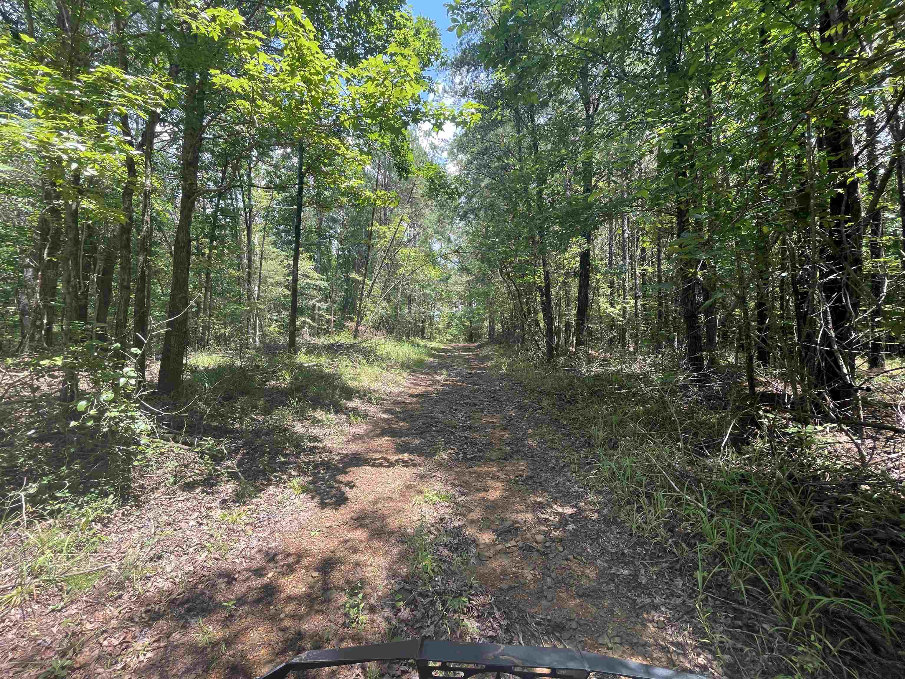 0 Co Rd 24, Eldridge, AL 35554 — photo 10