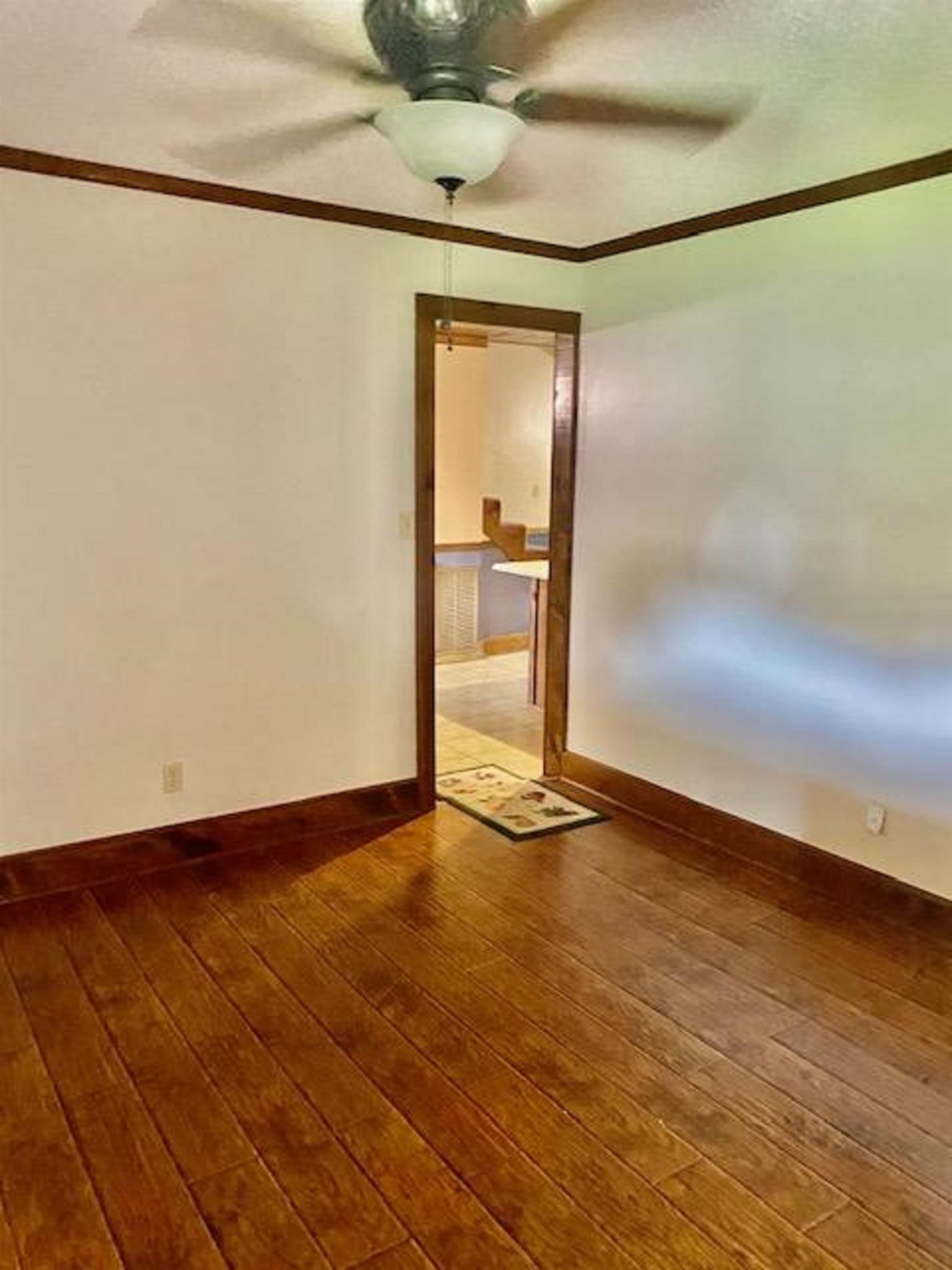 800 Lamar Ave, Tuscumbia, AL 35674 — photo 6