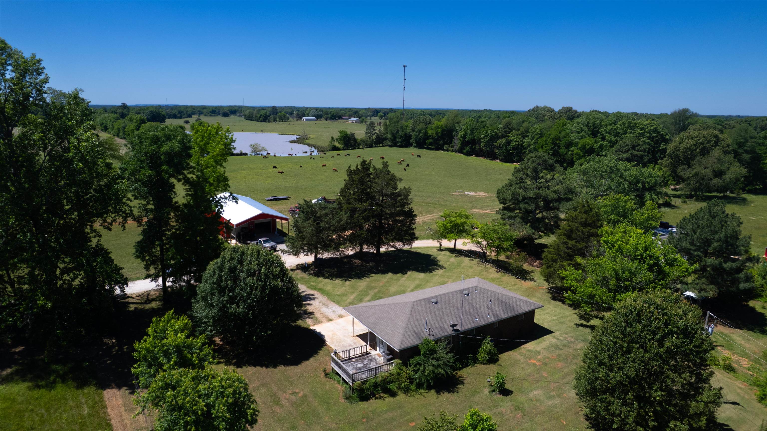 412 Co Rd 543, Rogersville, AL 35652 — photo 11