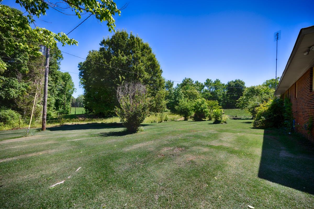 412 Co Rd 543, Rogersville, AL 35652 — photo 5