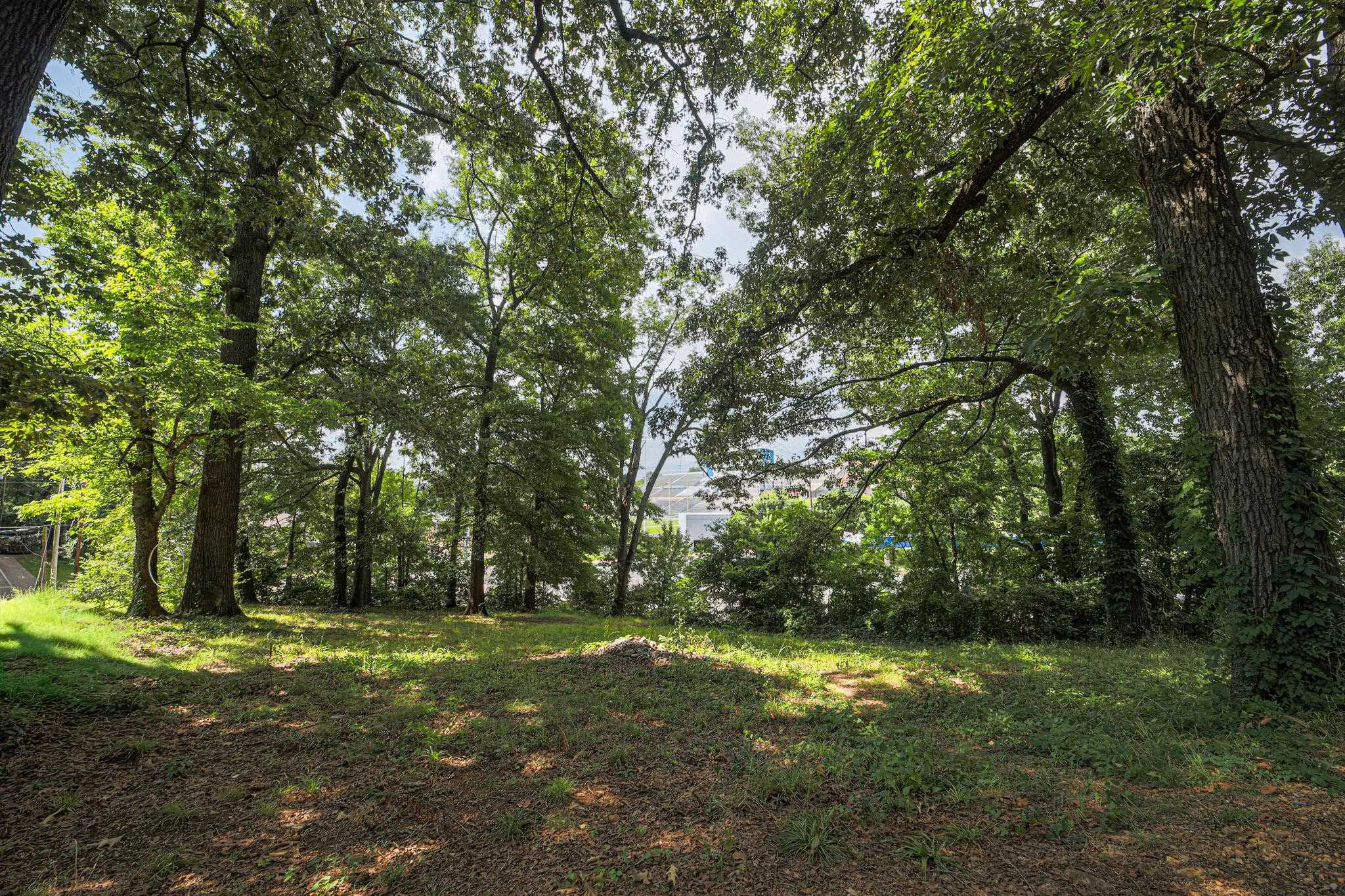0 Hermitage Dr, Florence, AL 35630 — photo 1