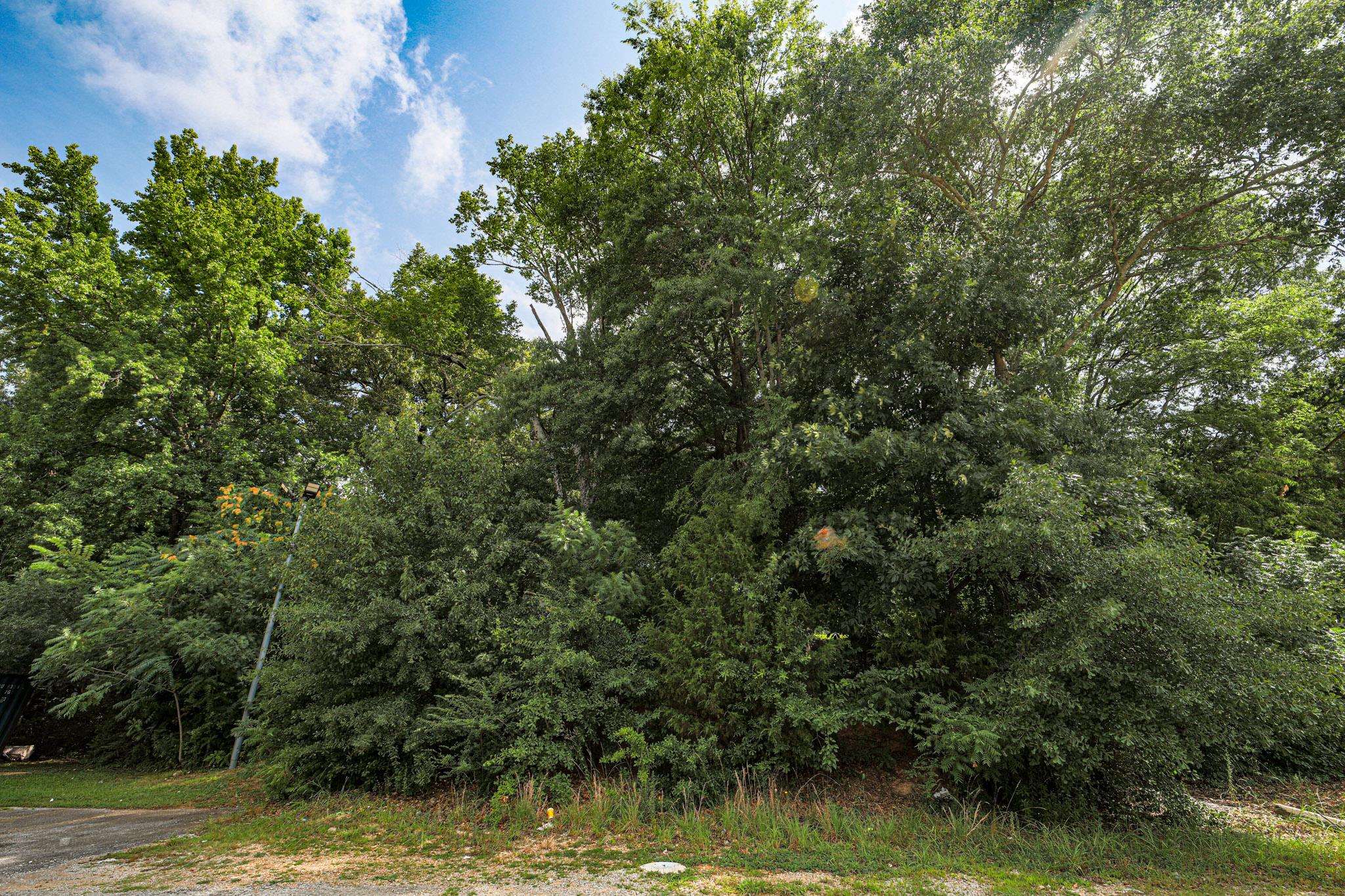 0 Hermitage Dr, Florence, AL 35630 — photo 11