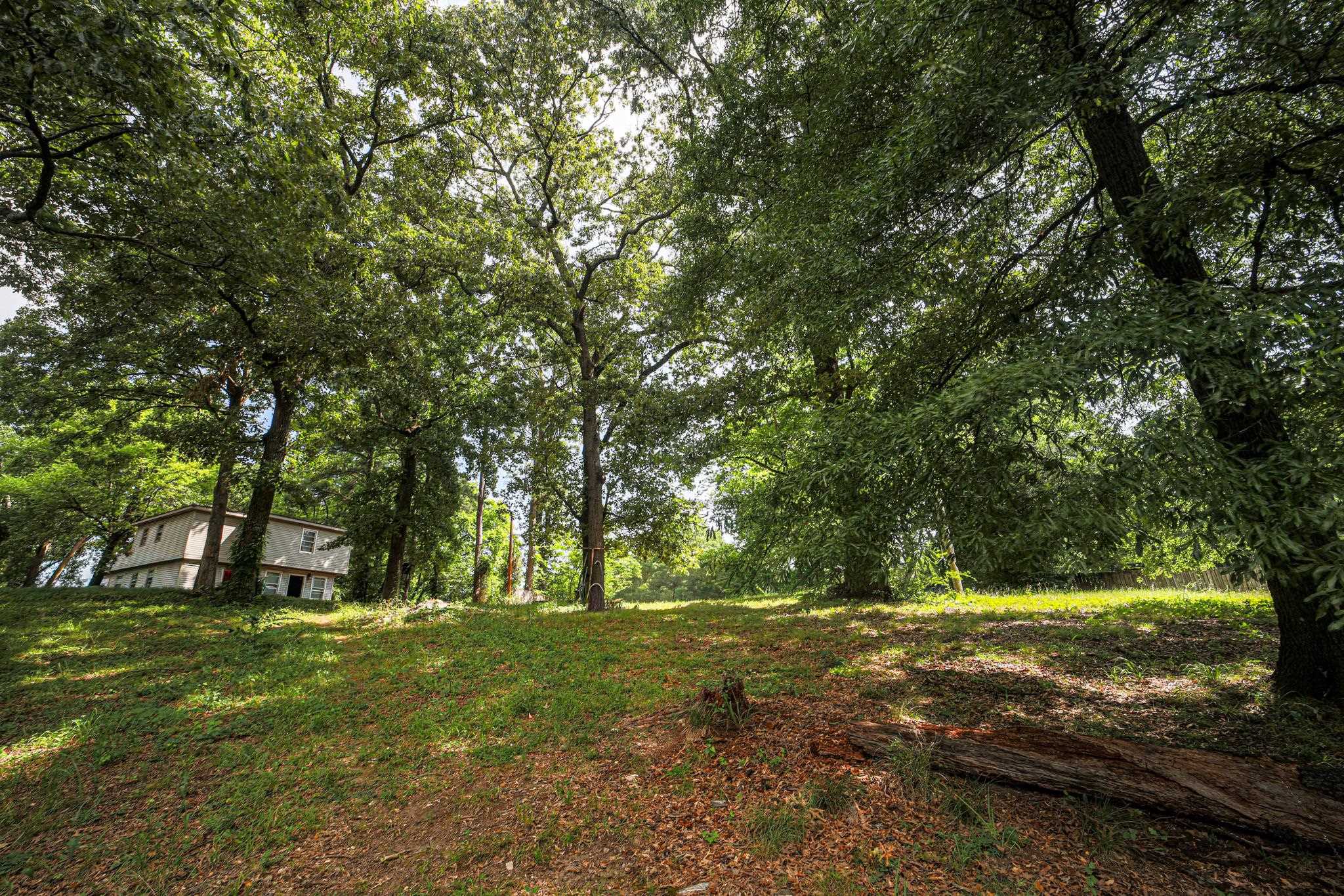 0 Hermitage Dr, Florence, AL 35630 — photo 3