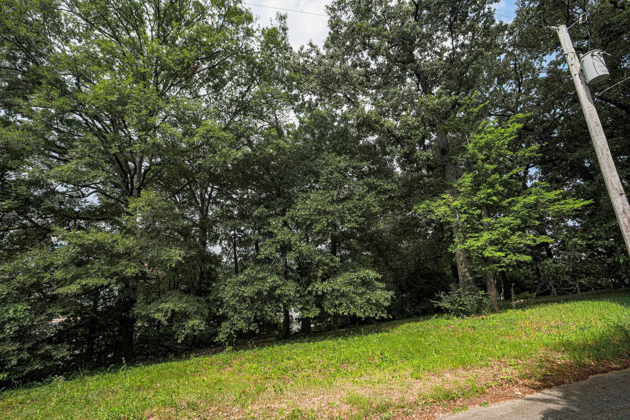 0 Hermitage Dr, Florence, AL 35630 — photo 6