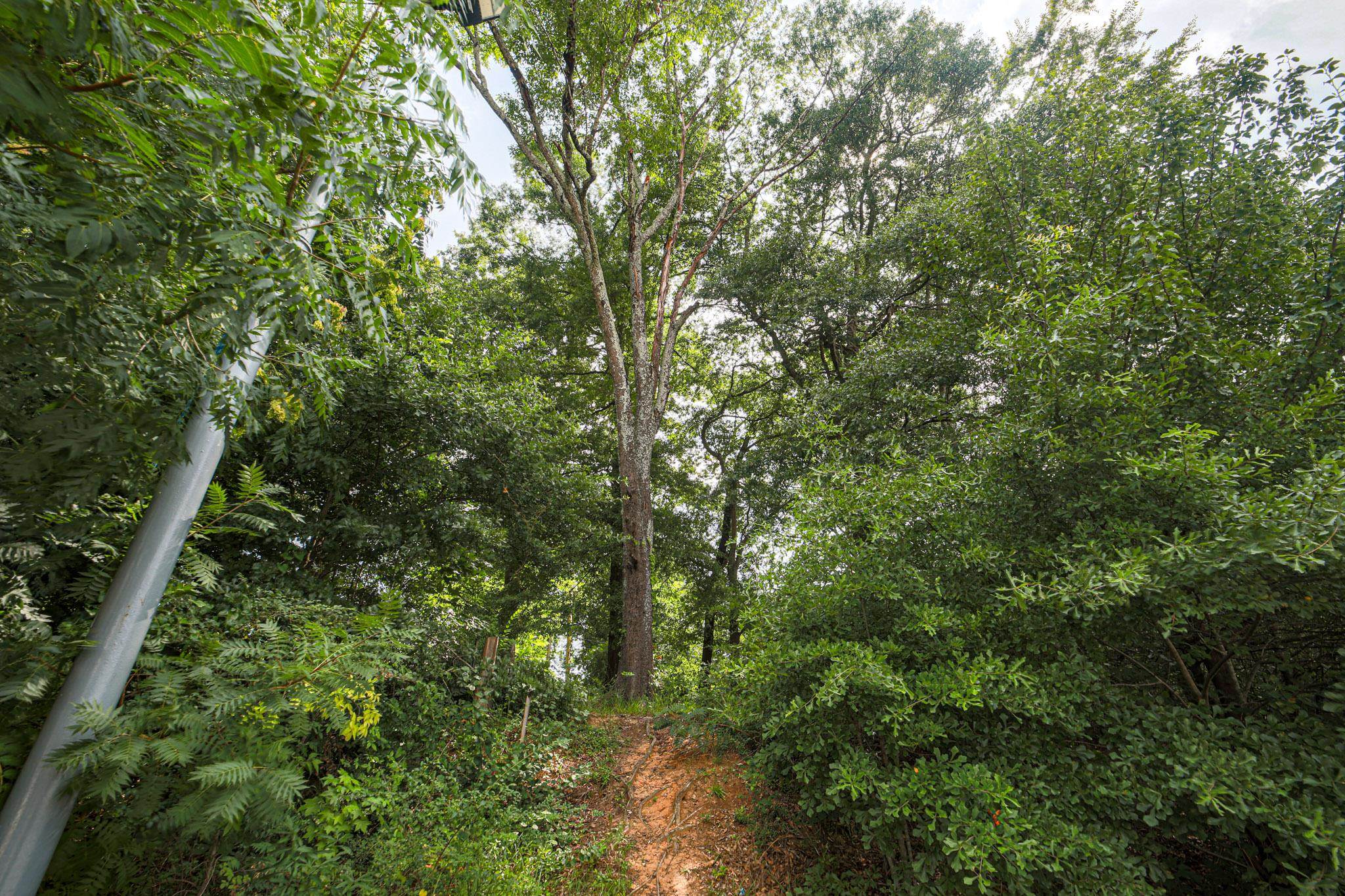 0 Hermitage Dr, Florence, AL 35630 — photo 7