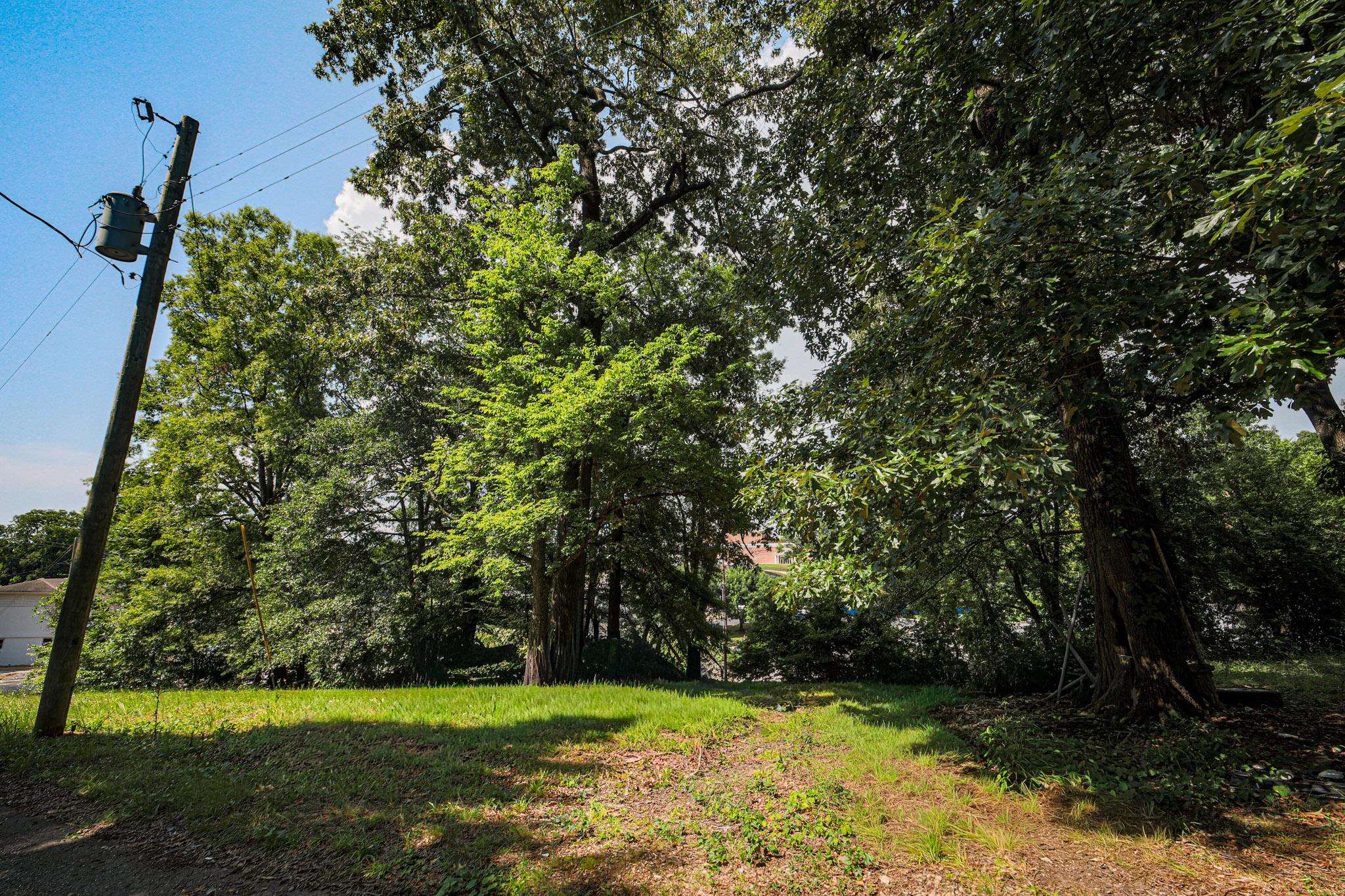 0 Hermitage Dr, Florence, AL 35630 — photo 9