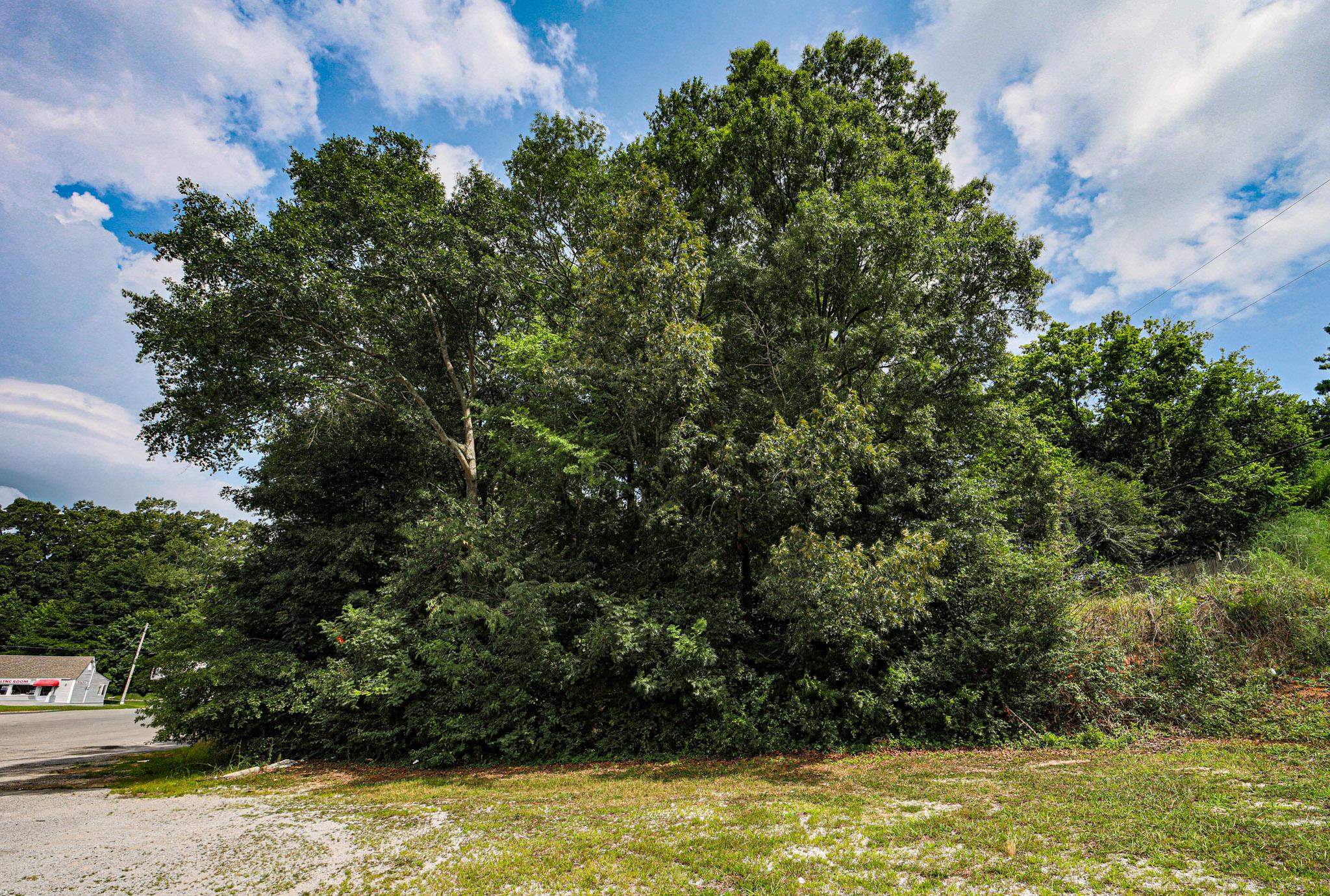 0 Hermitage Dr, Florence, AL 35630 — photo 10