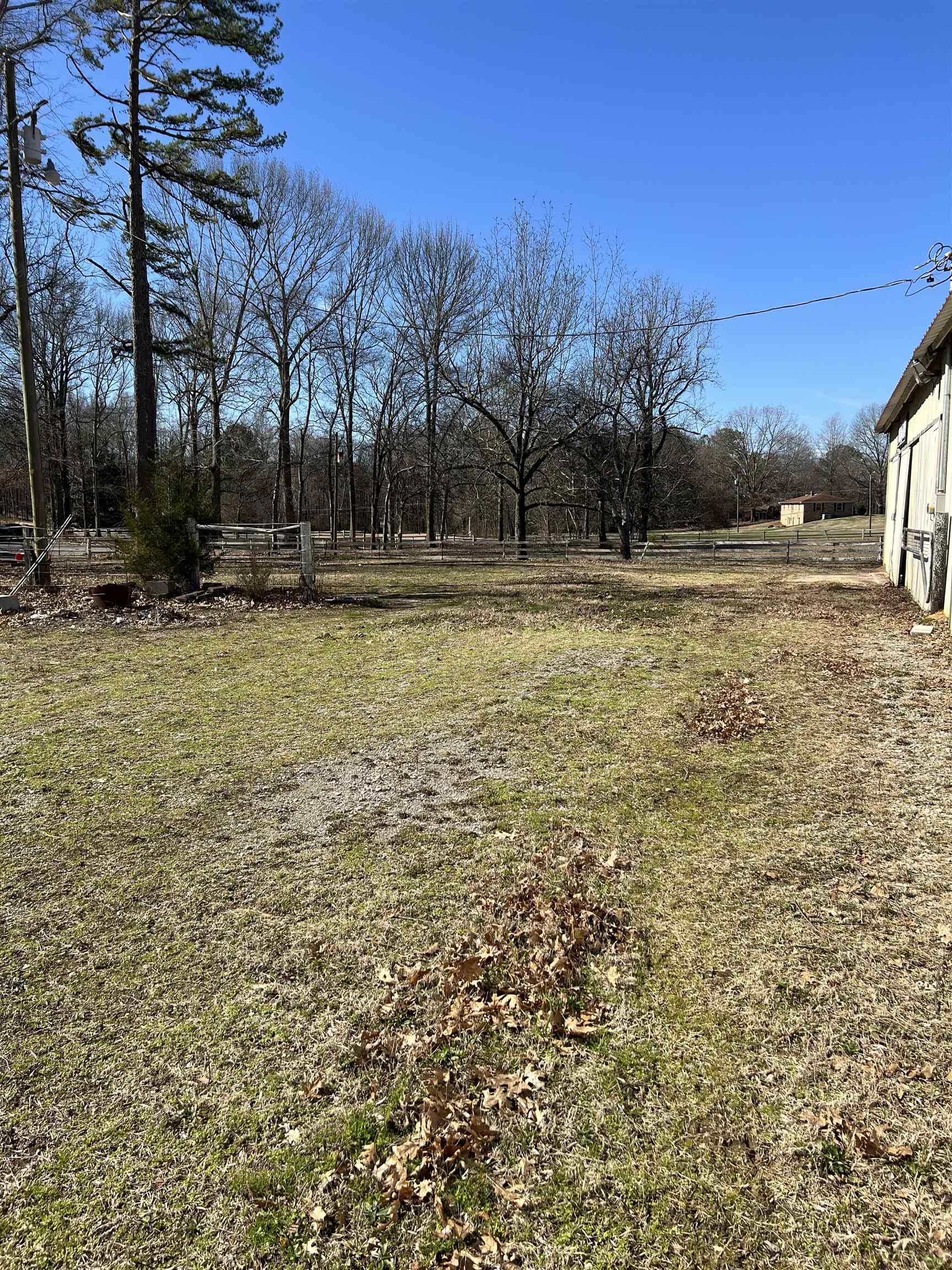 75 Hillandale Dr, Russellville, AL 35653 — photo 6