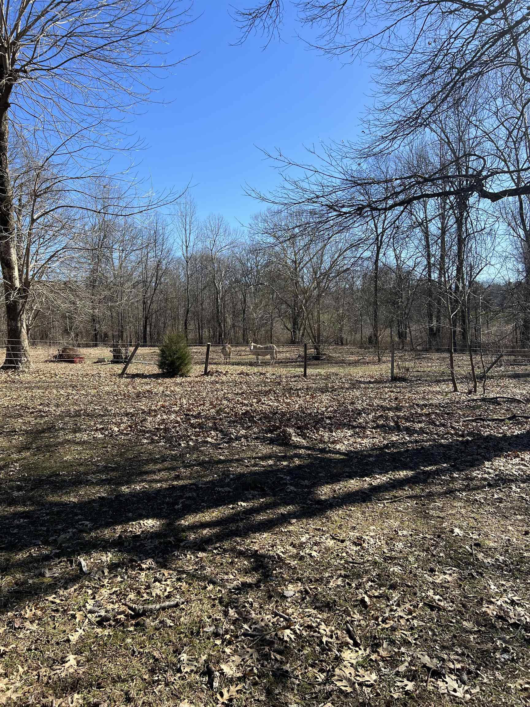 0 Underwood Rd, Russellville, AL 35653 — photo 1