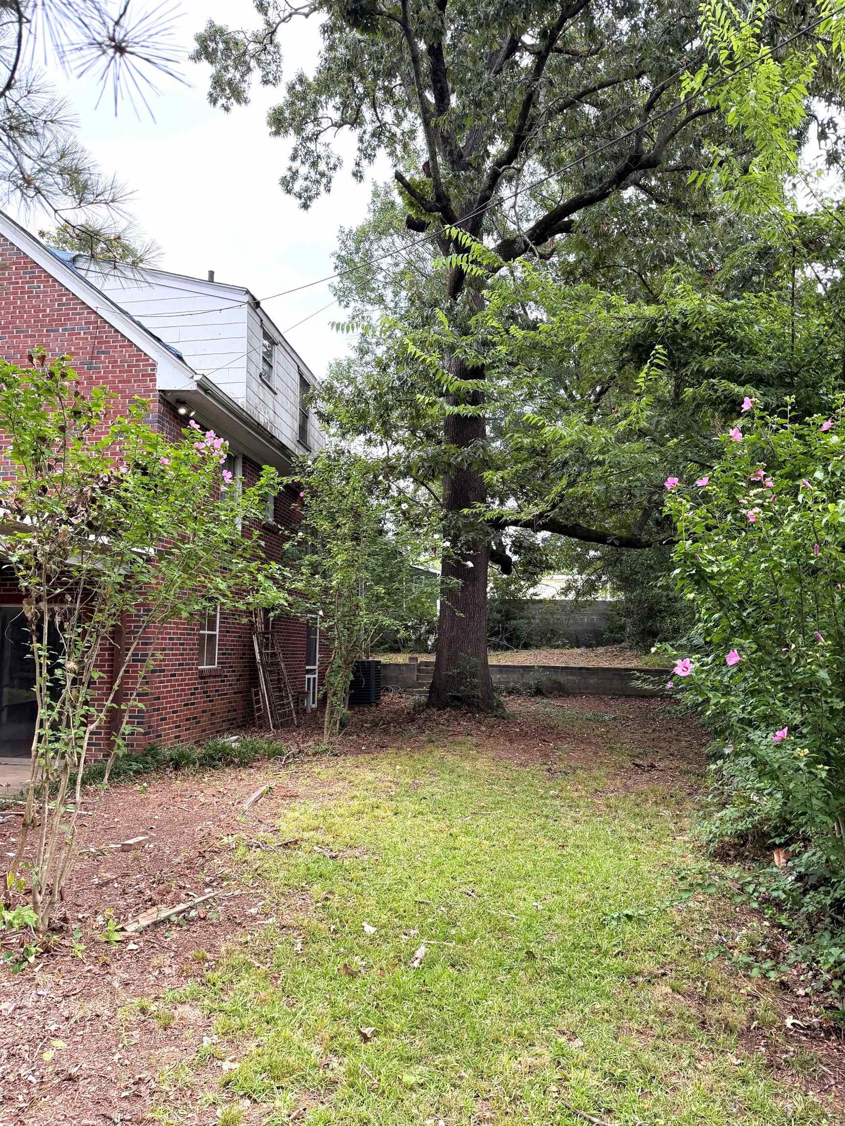 1032 Piedmont St, Florence, AL 35630 — photo 7