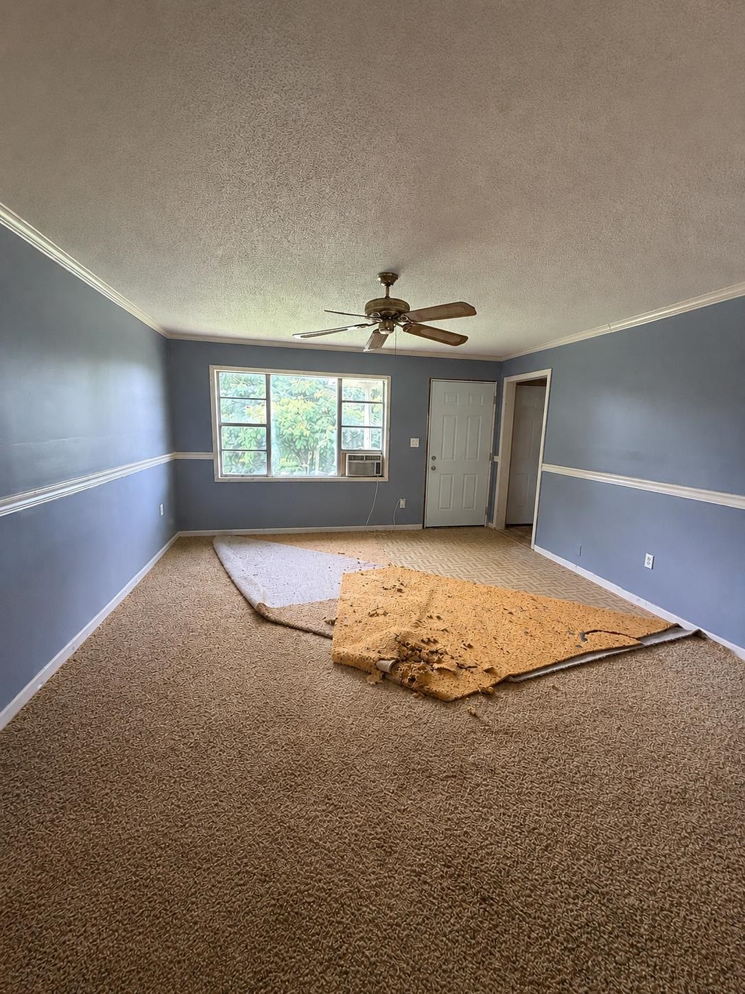 631 2nd Ave, Hackleburg, AL 35564 — photo 12