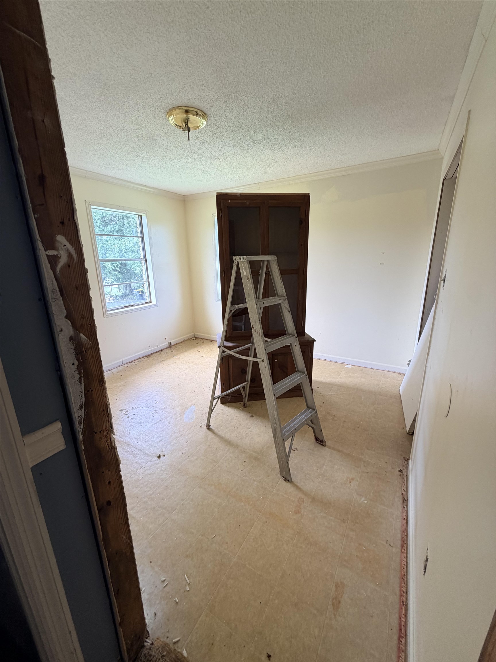 631 2nd Ave, Hackleburg, AL 35564 — photo 10